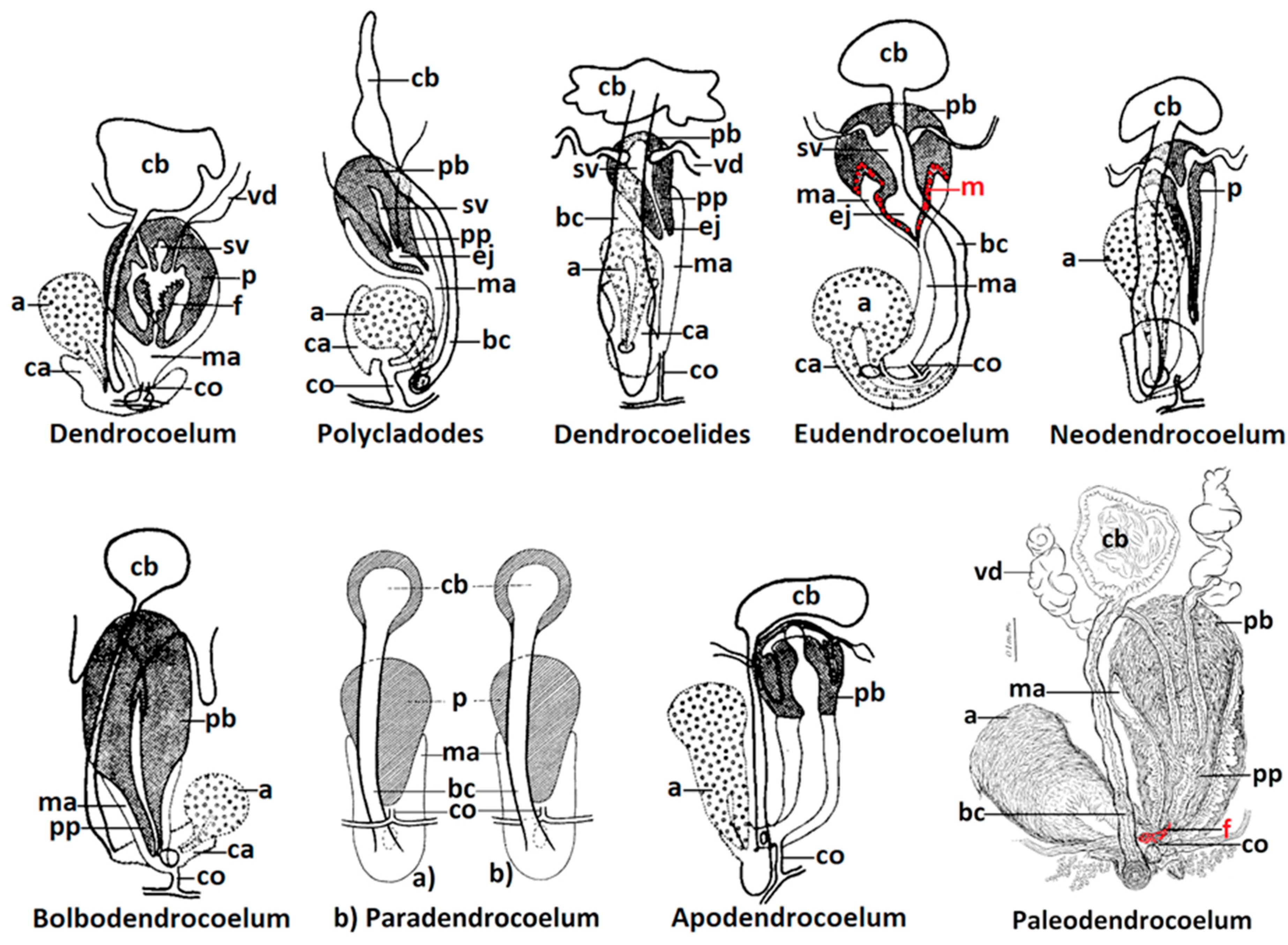 Preprints 166799 g001