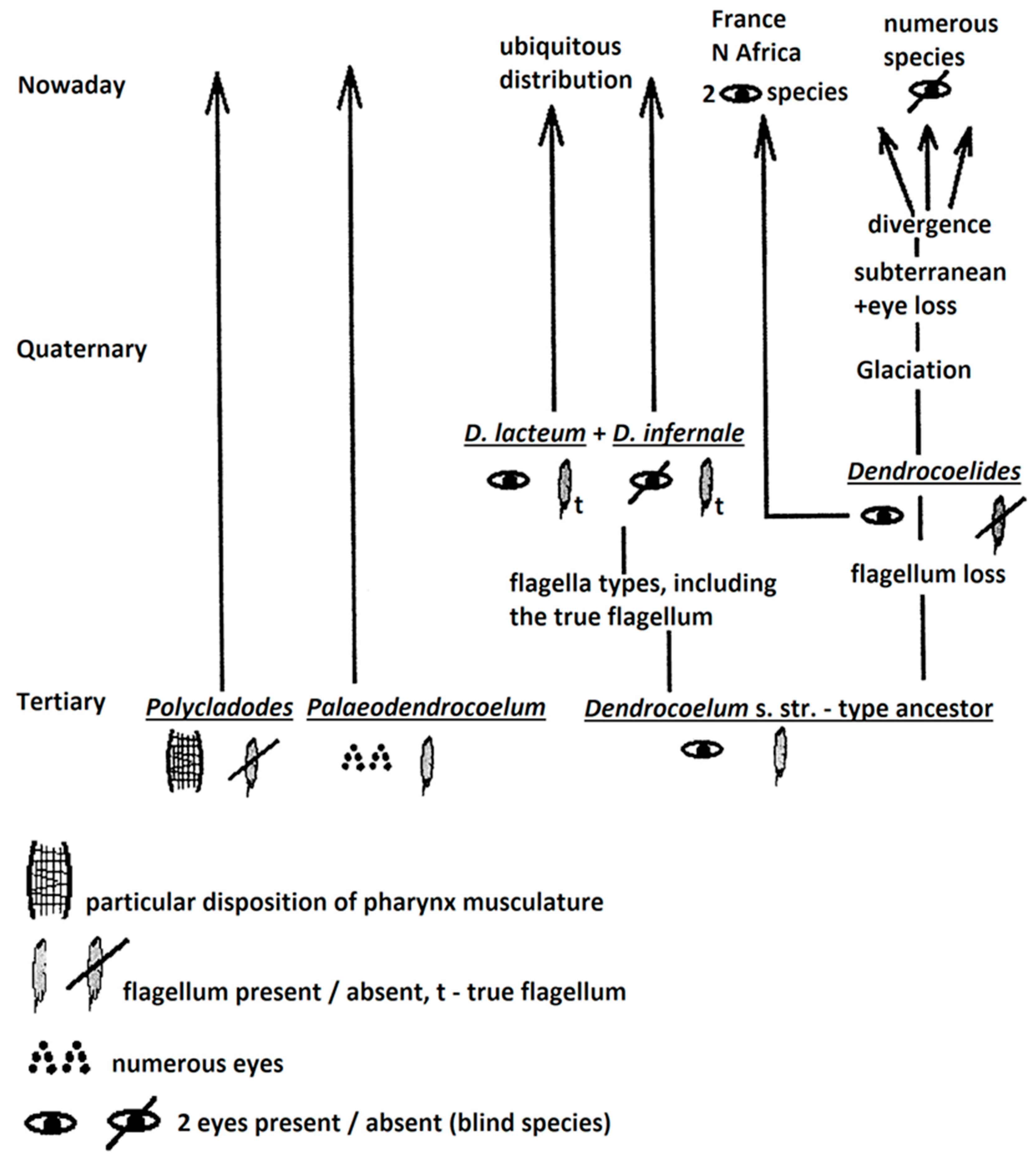 Preprints 166799 g003