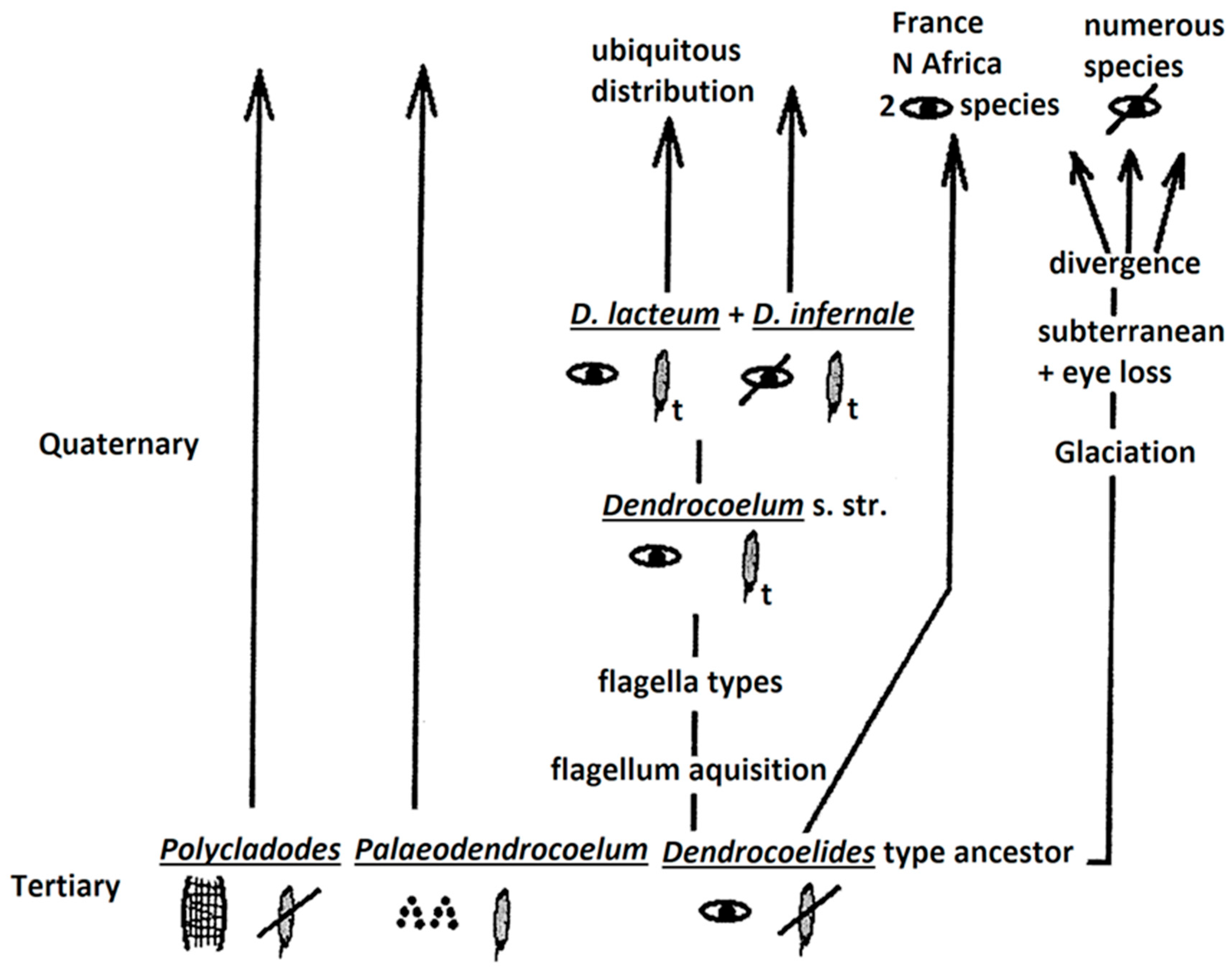 Preprints 166799 g004