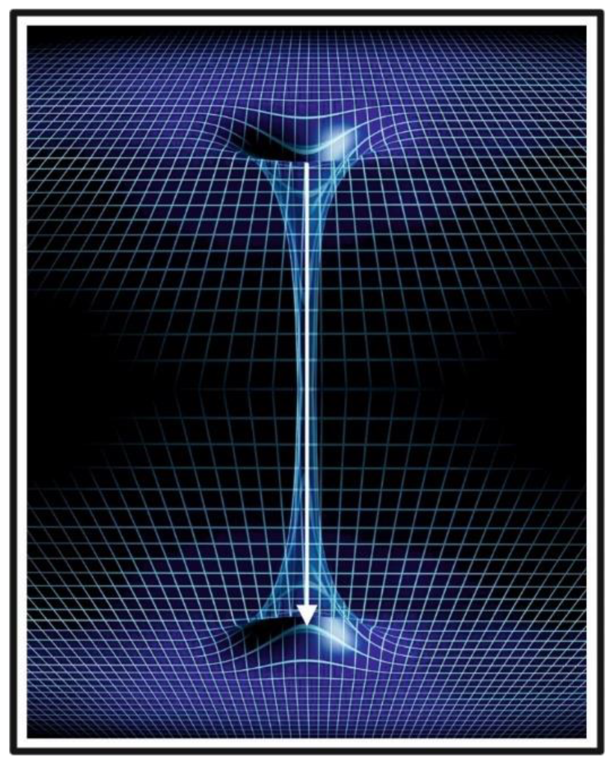 Preprints 177820 g018