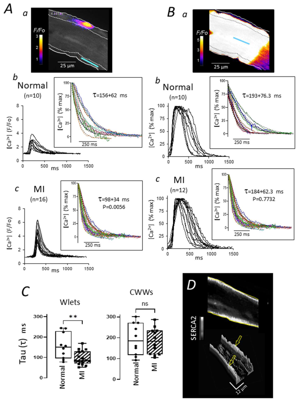 Preprints 219385 g004 Preprints 219385 g004