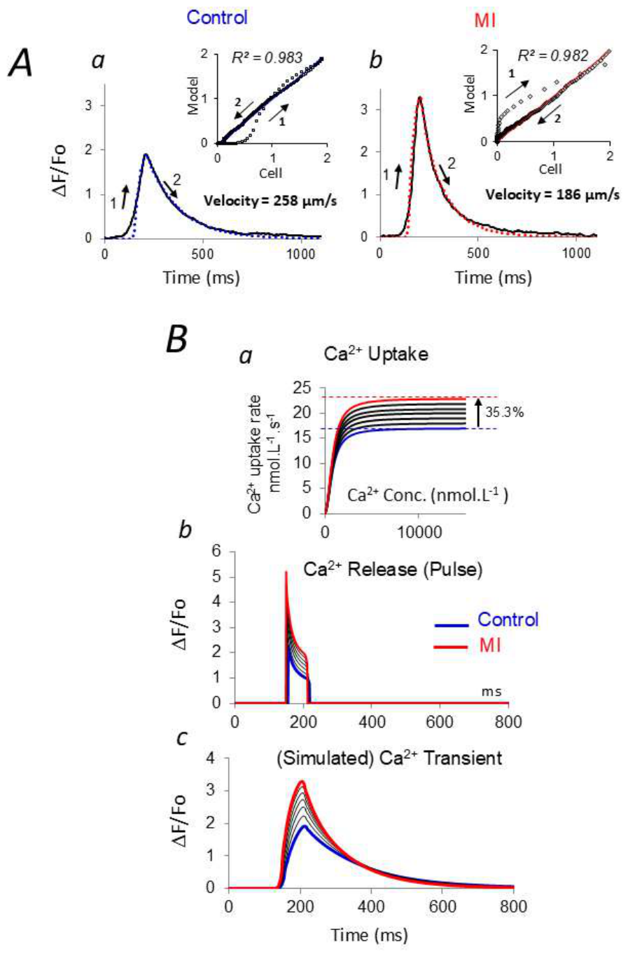 Preprints 219385 g005 Preprints 219385 g005