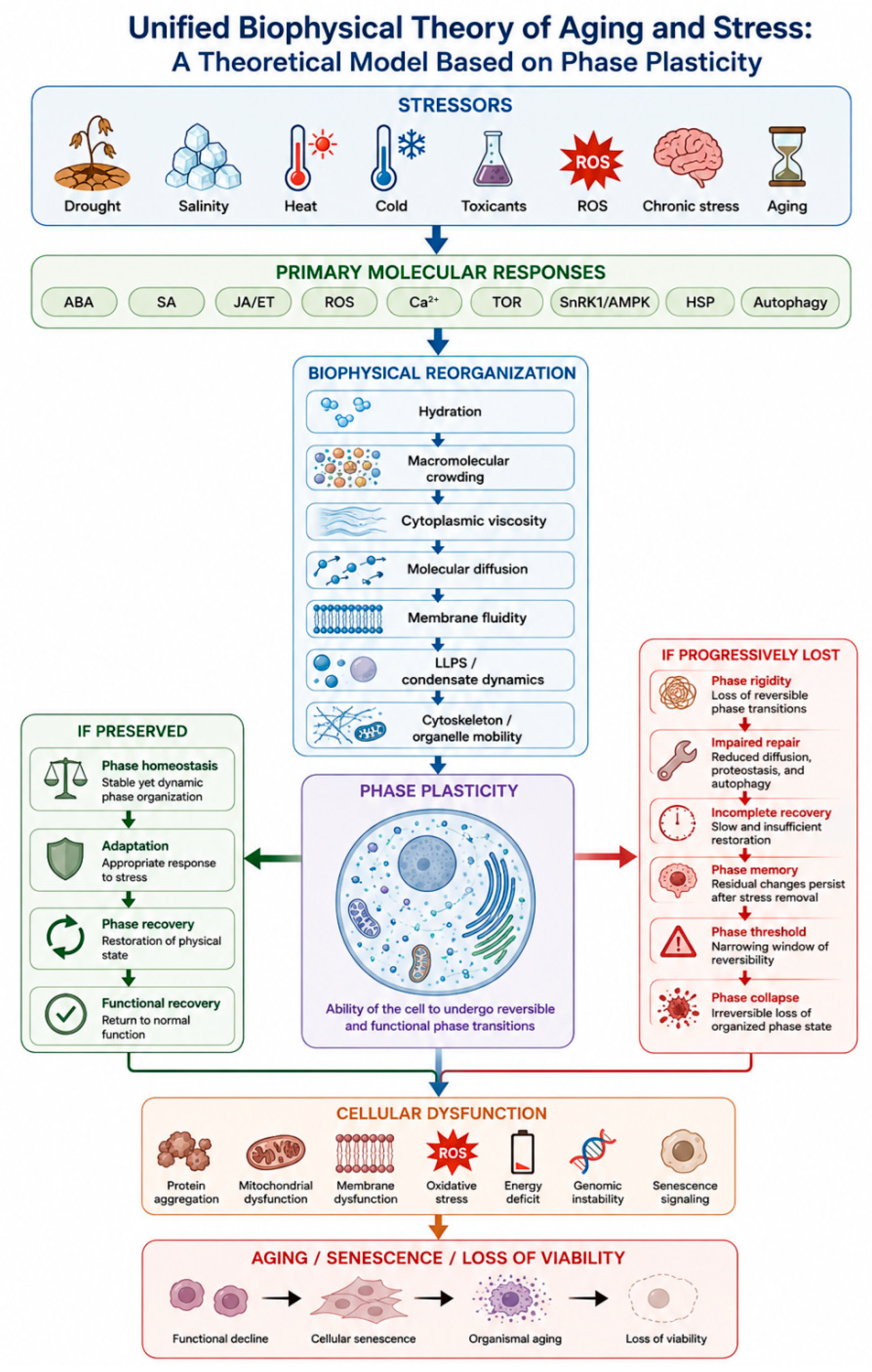 Preprints 227786 g008 Preprints 227786 g008