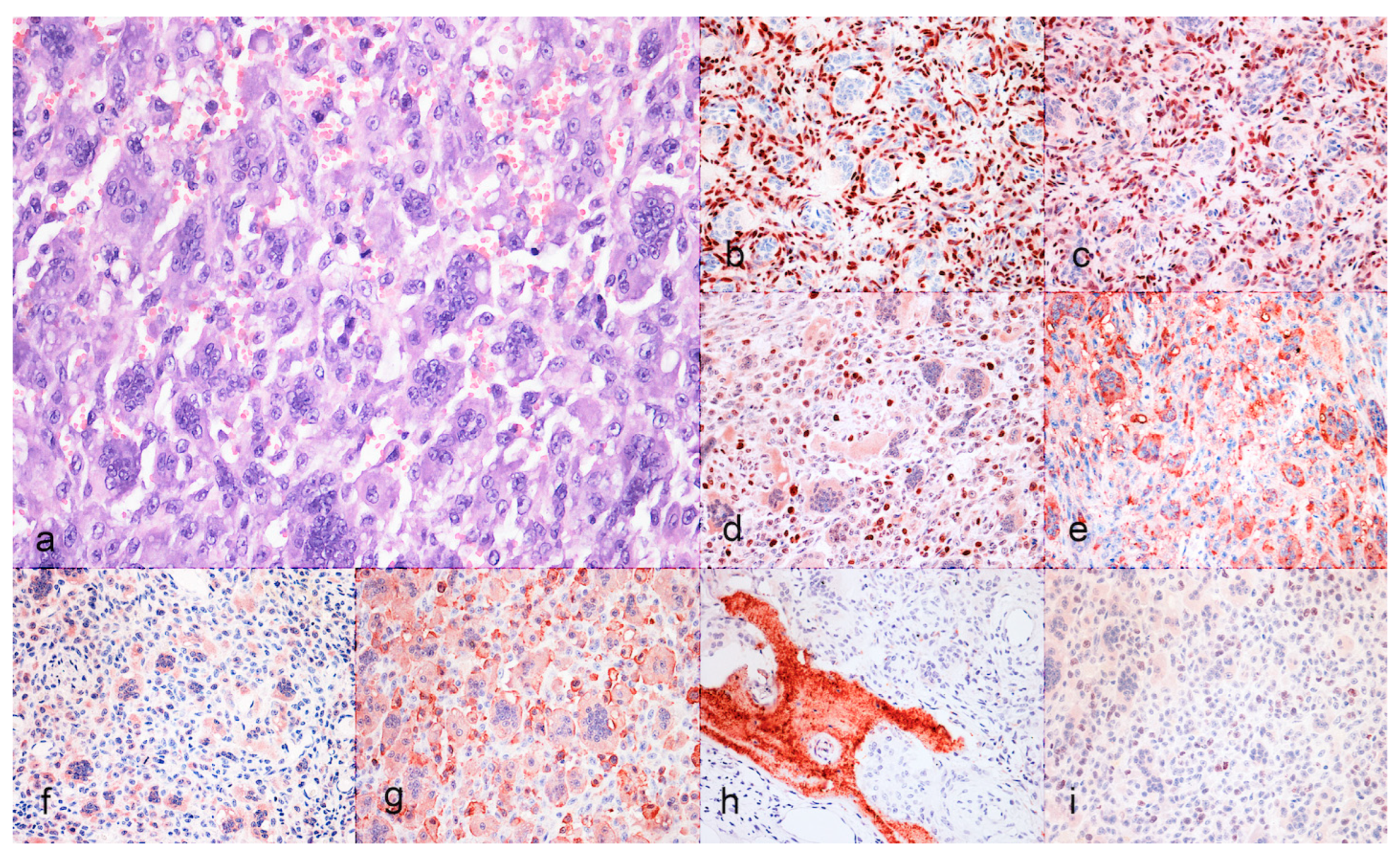 Preprints 141051 g001