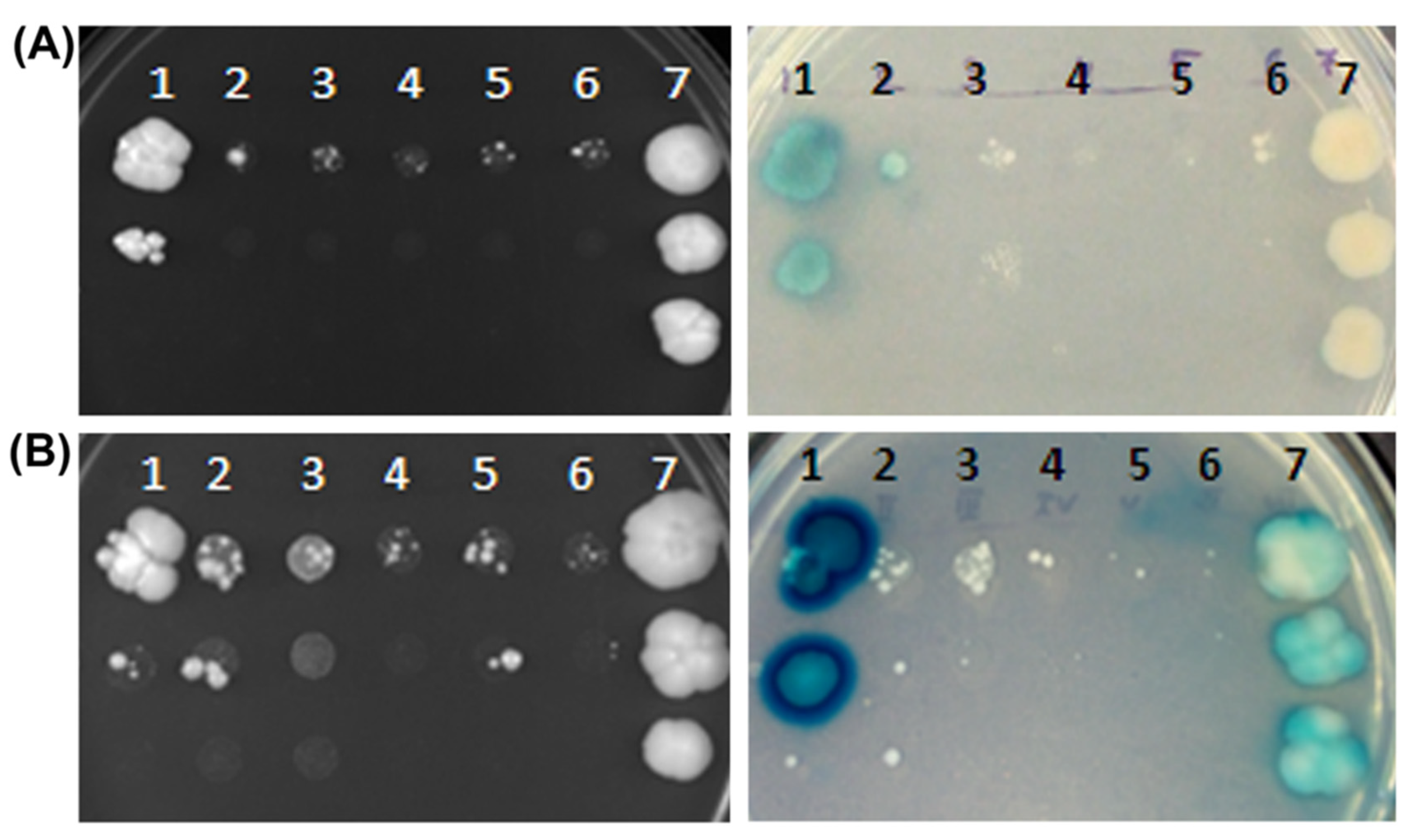 Preprints 202693 g002