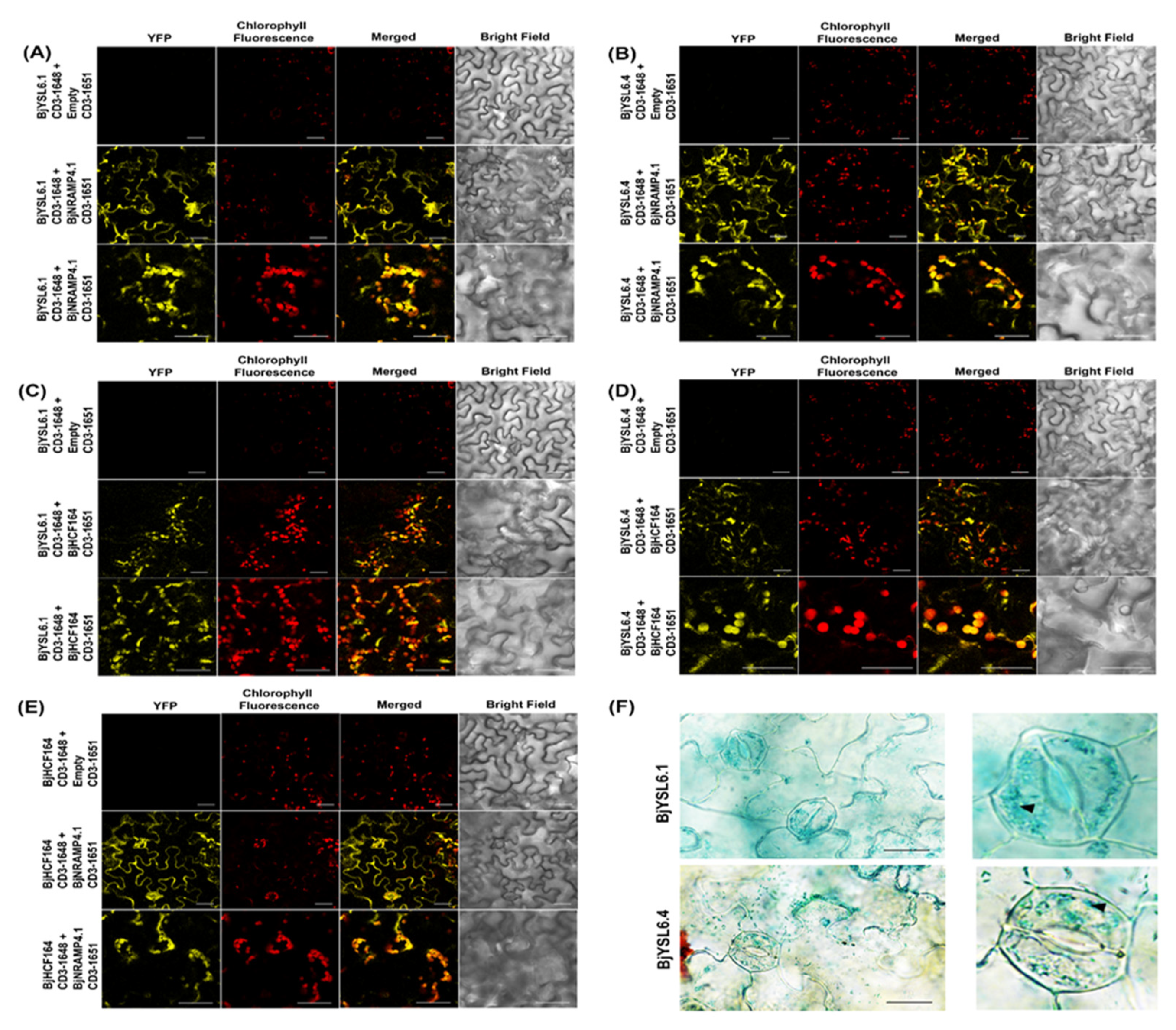 Preprints 202693 g004