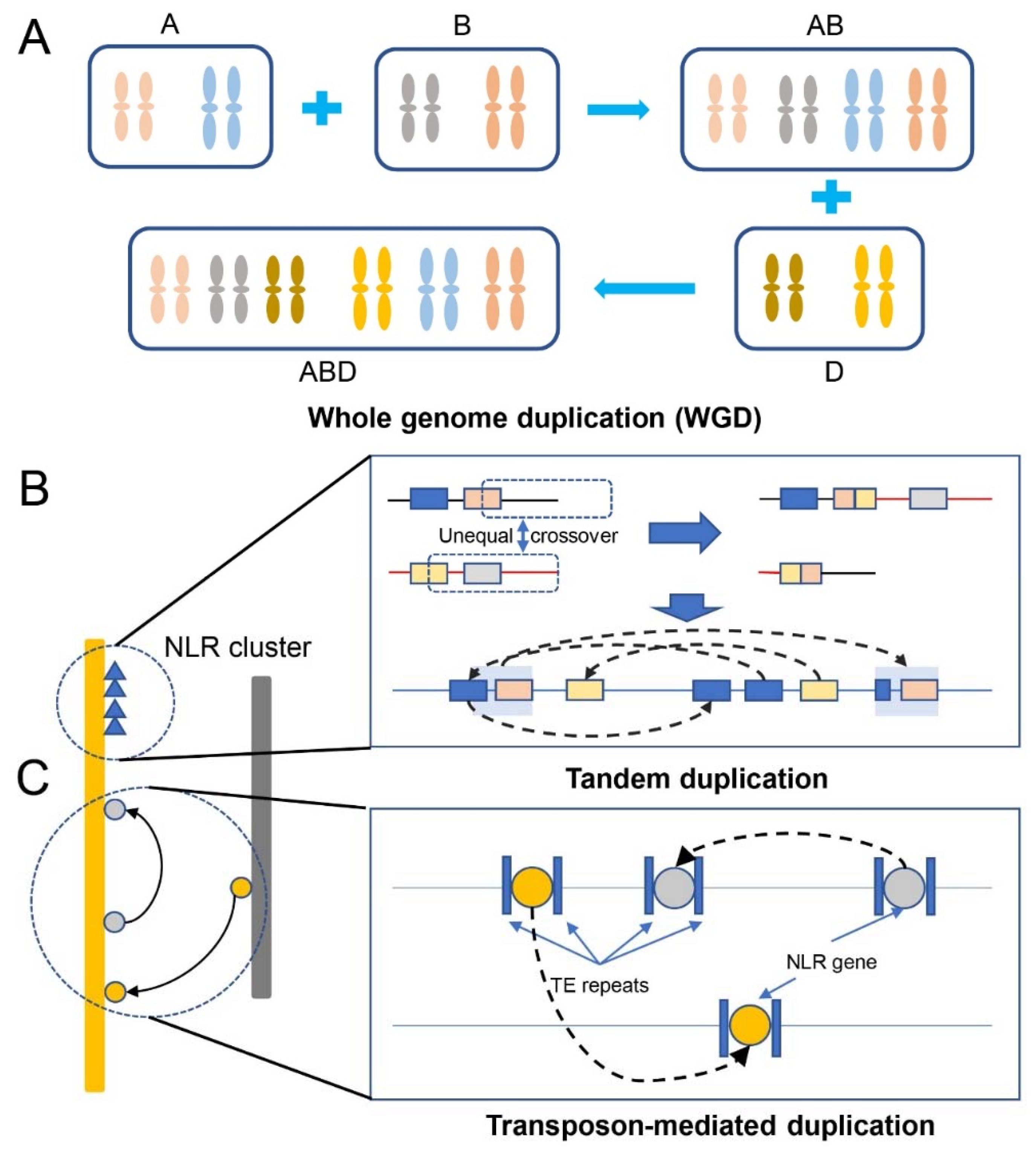 Preprints 77443 g002