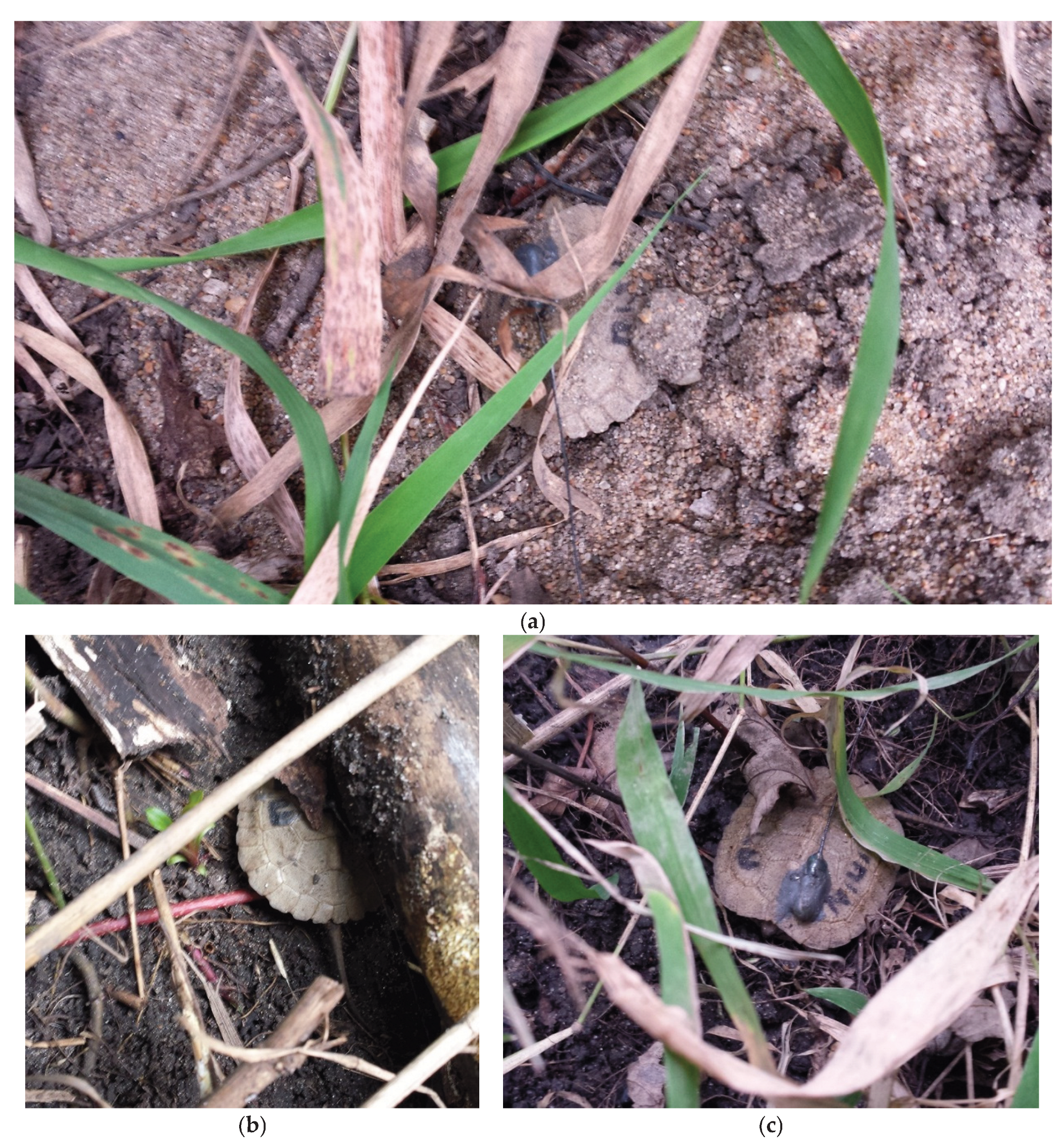 Preprints 178552 g007