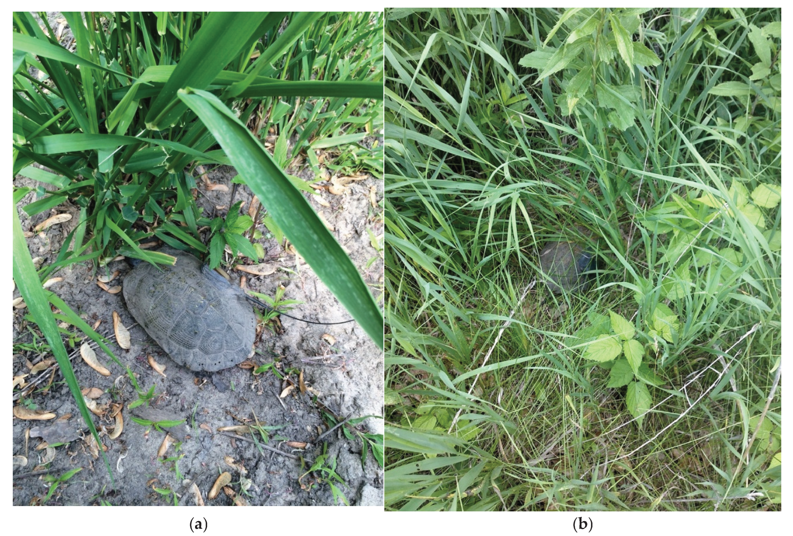 Preprints 178552 g008