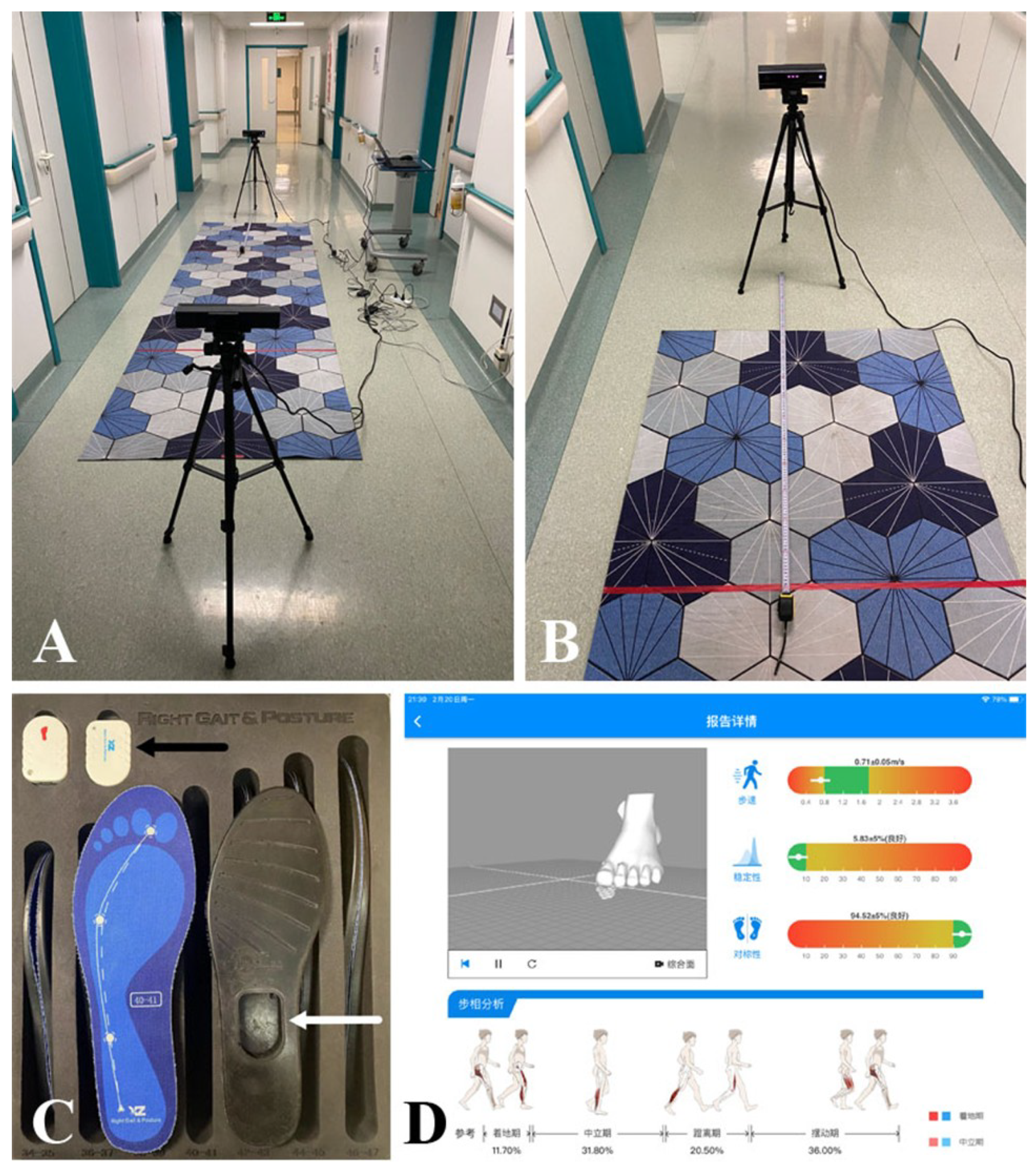 Preprints 151548 g002