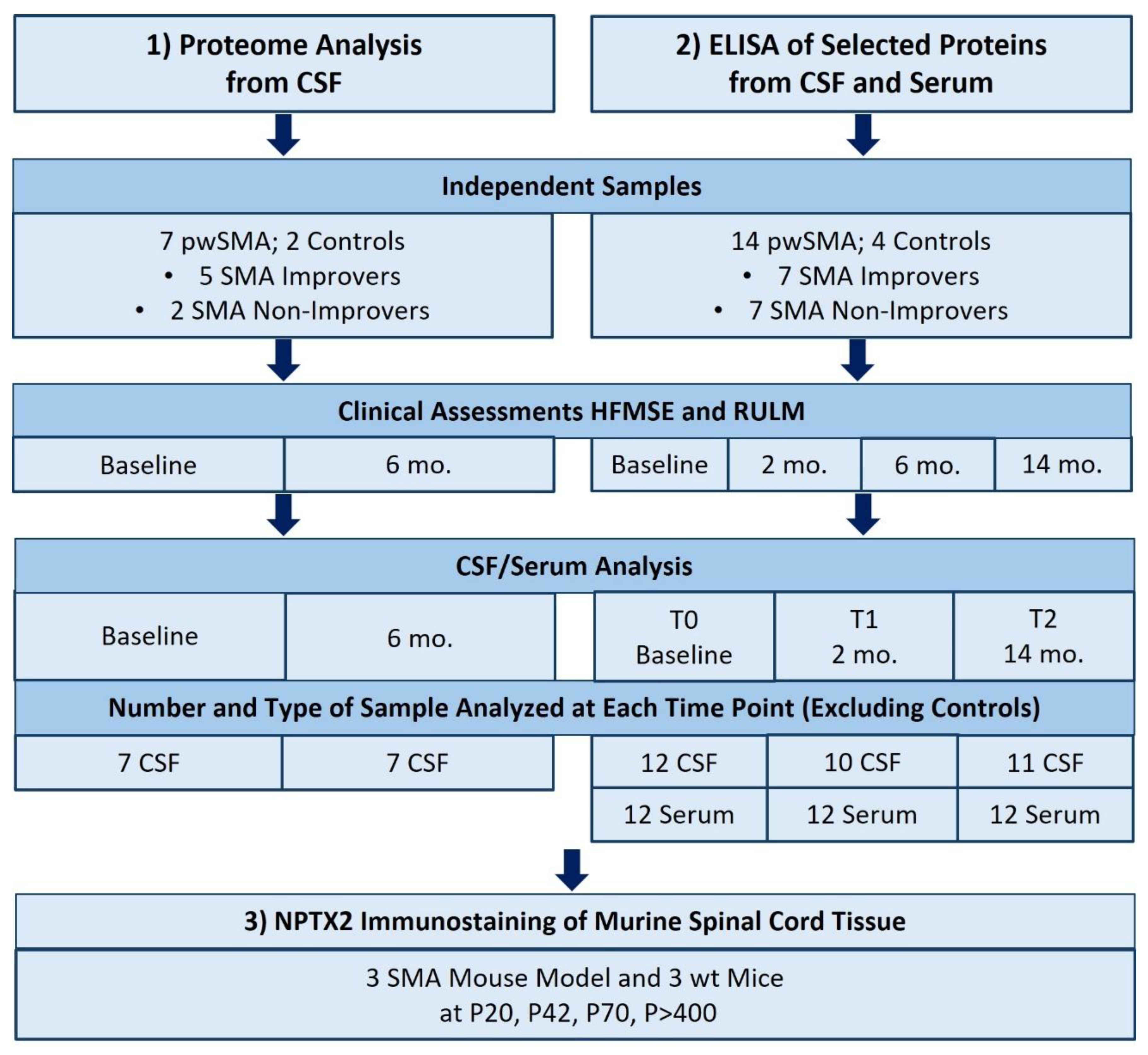 Preprints 165388 g001