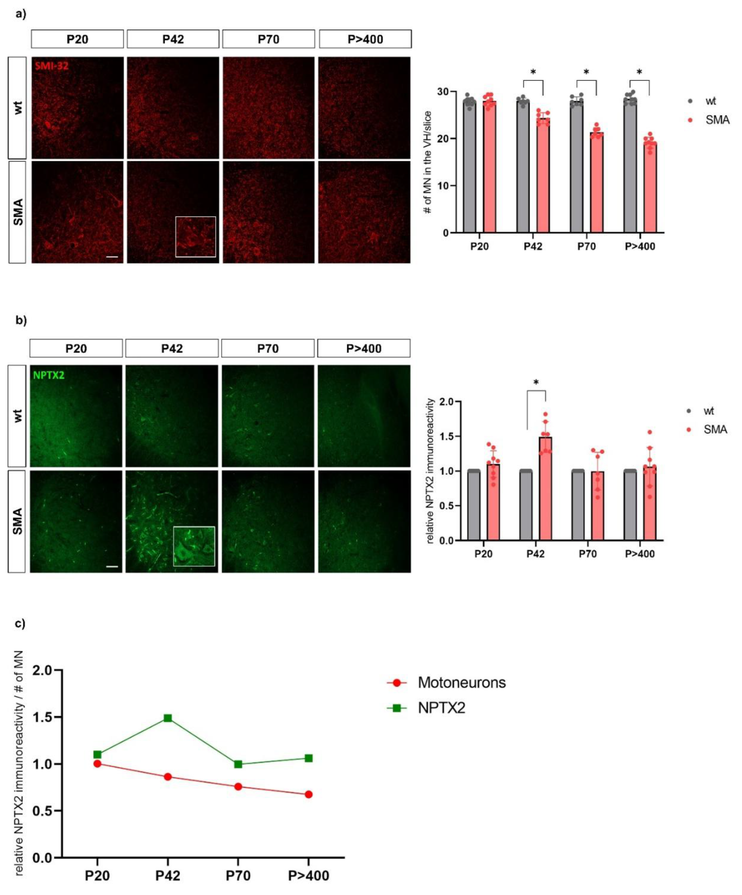Preprints 165388 g005