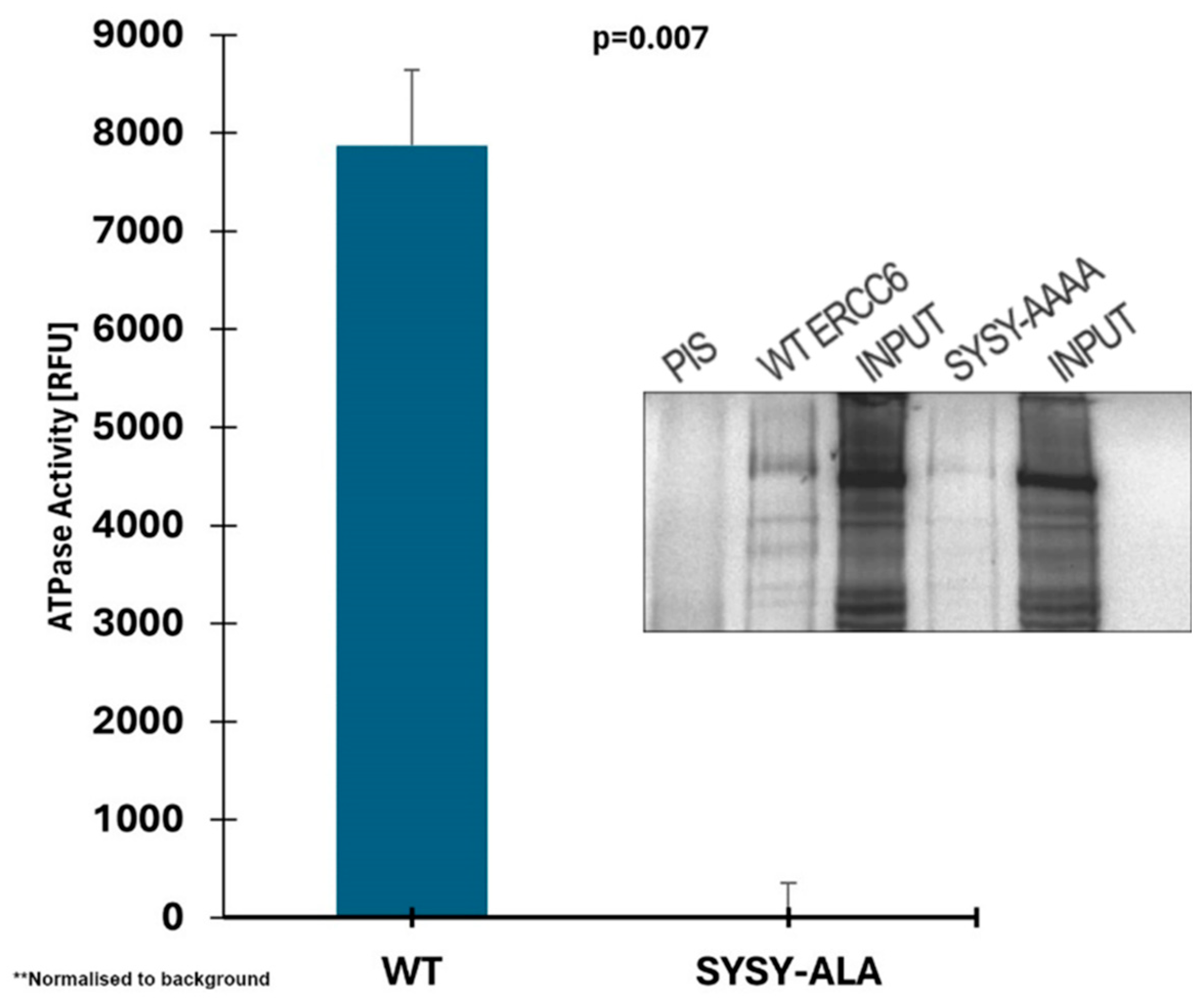 Preprints 182933 g007