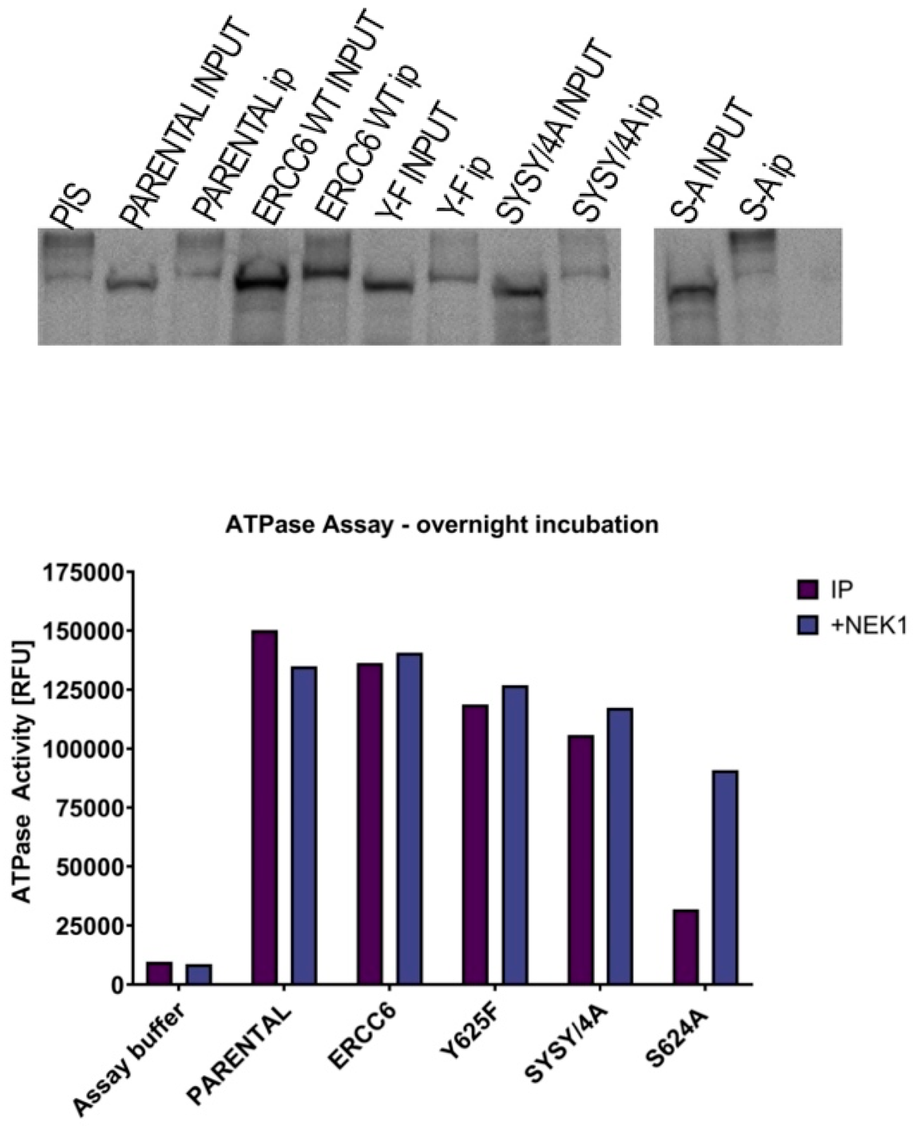 Preprints 182933 g012