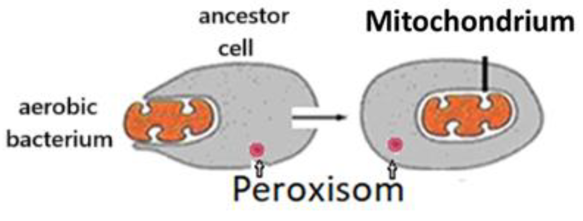 Preprints 161100 g001