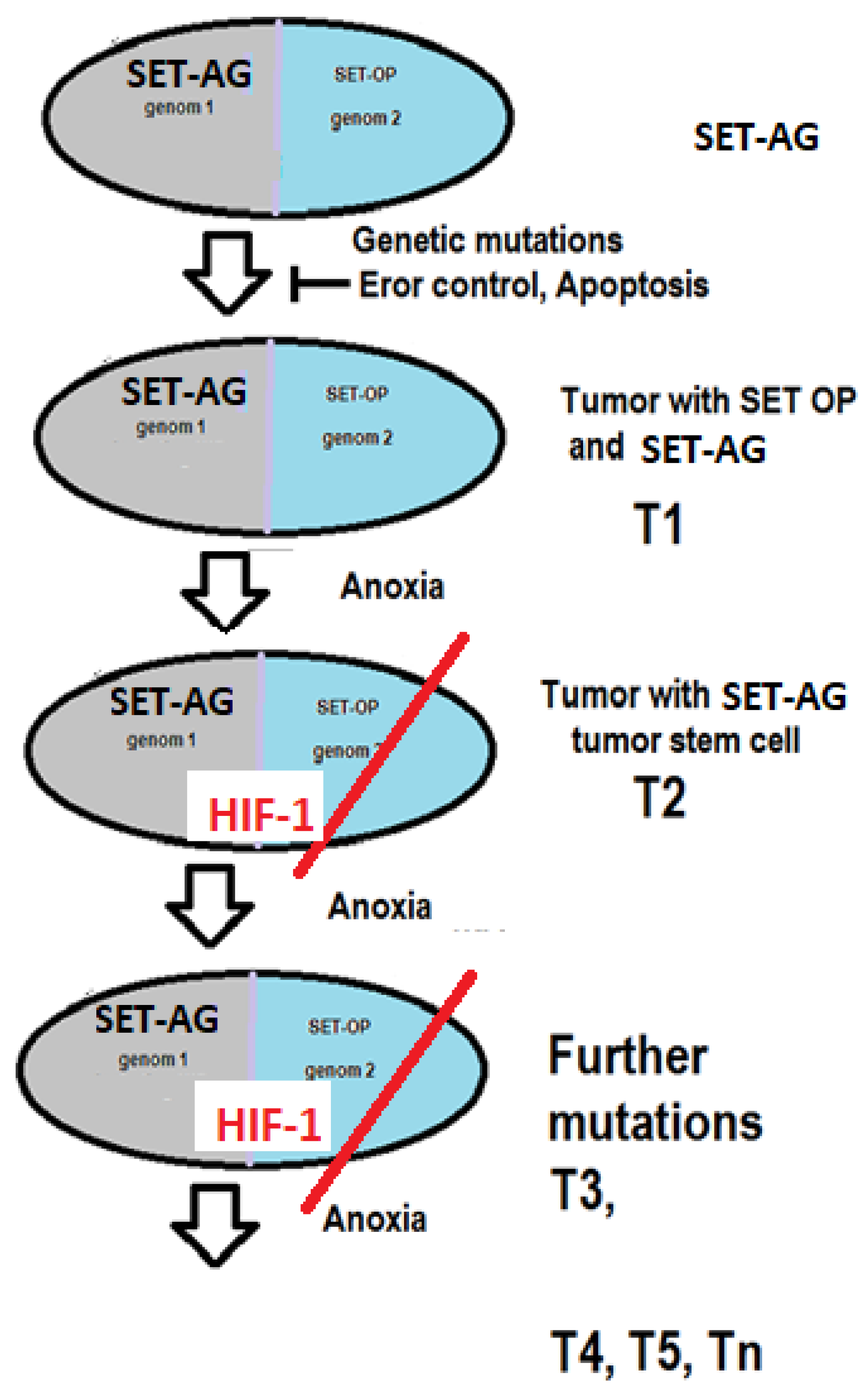 Preprints 161100 g002