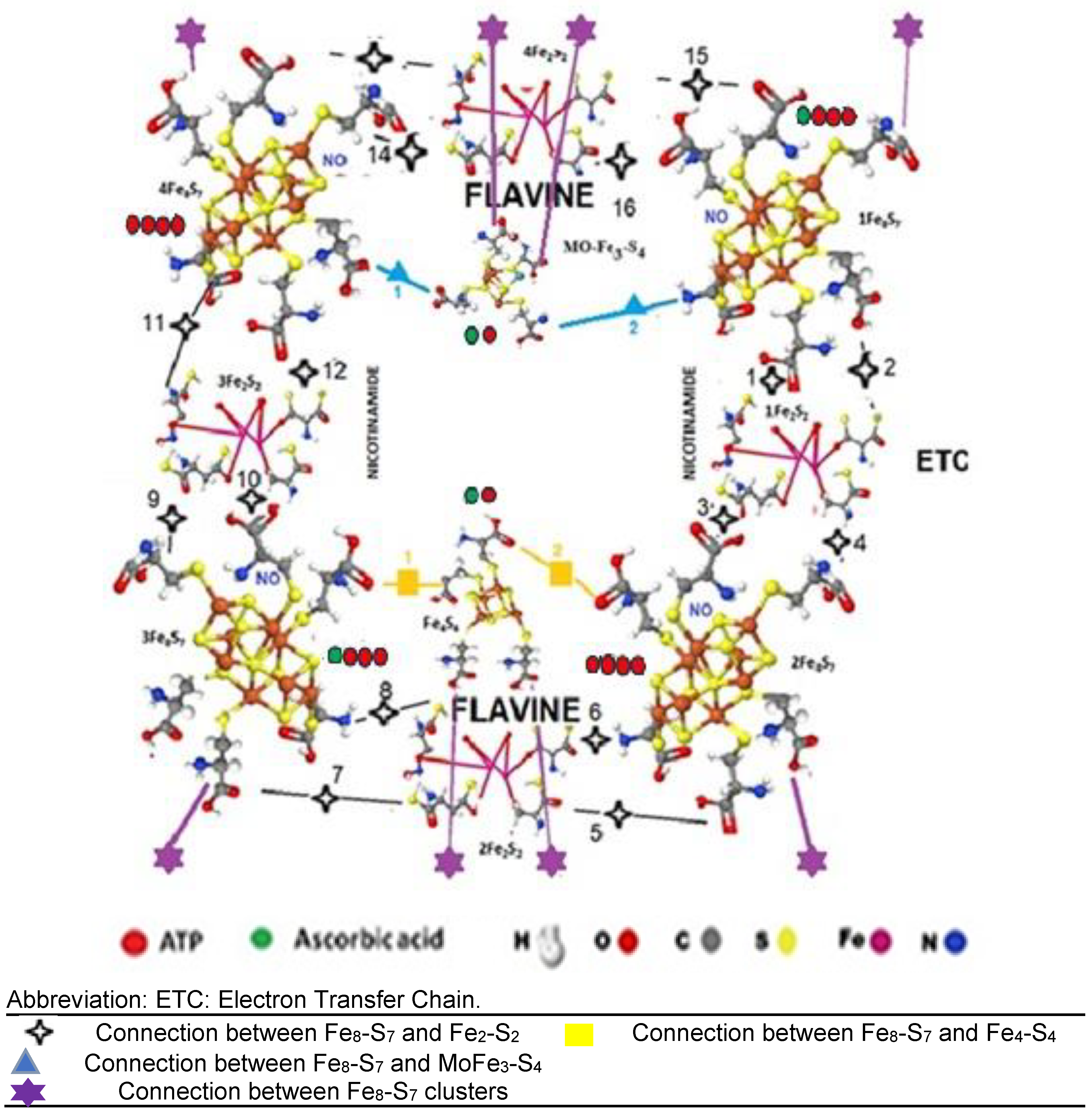 Preprints 161100 g004