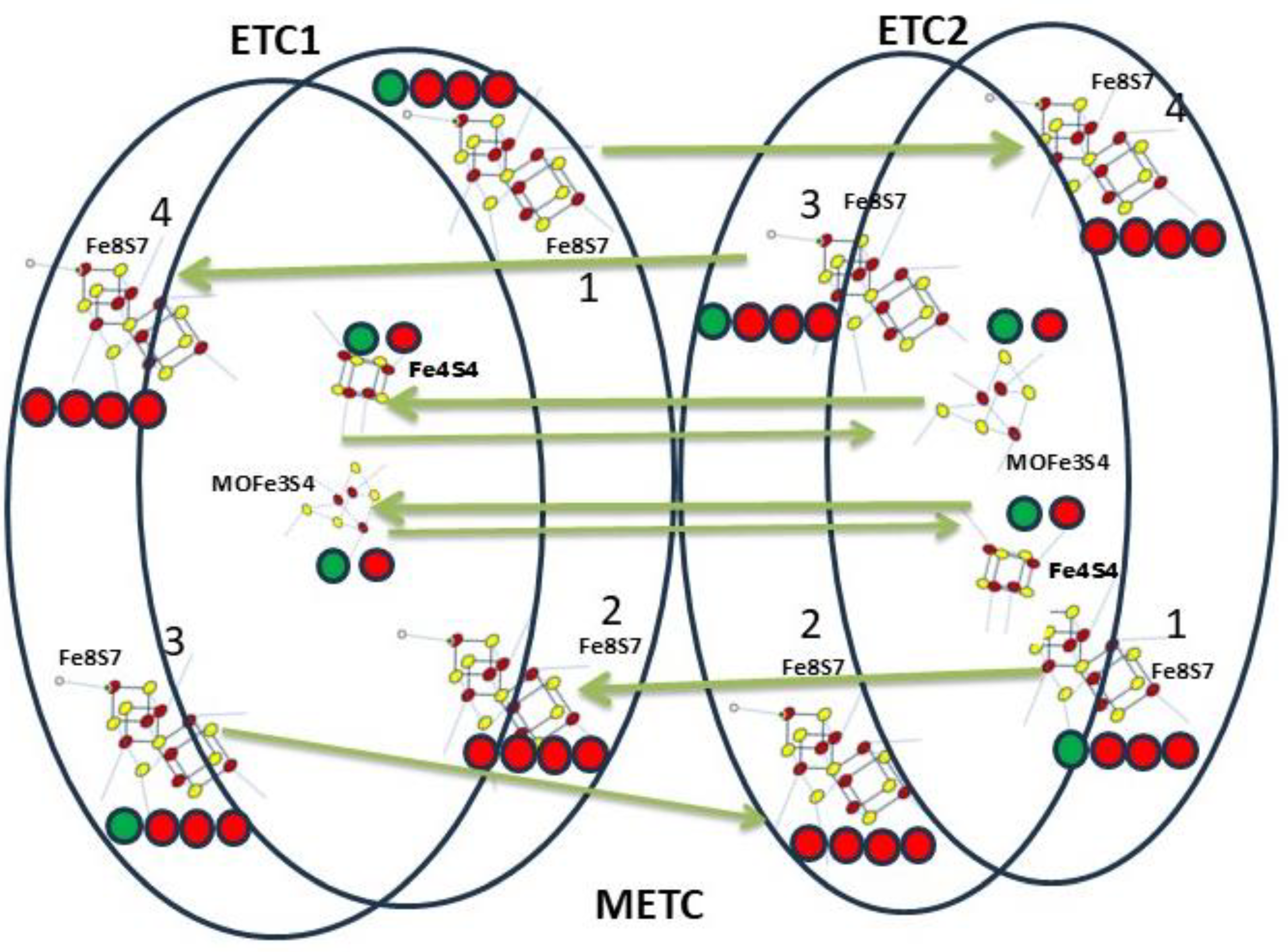 Preprints 161100 g005