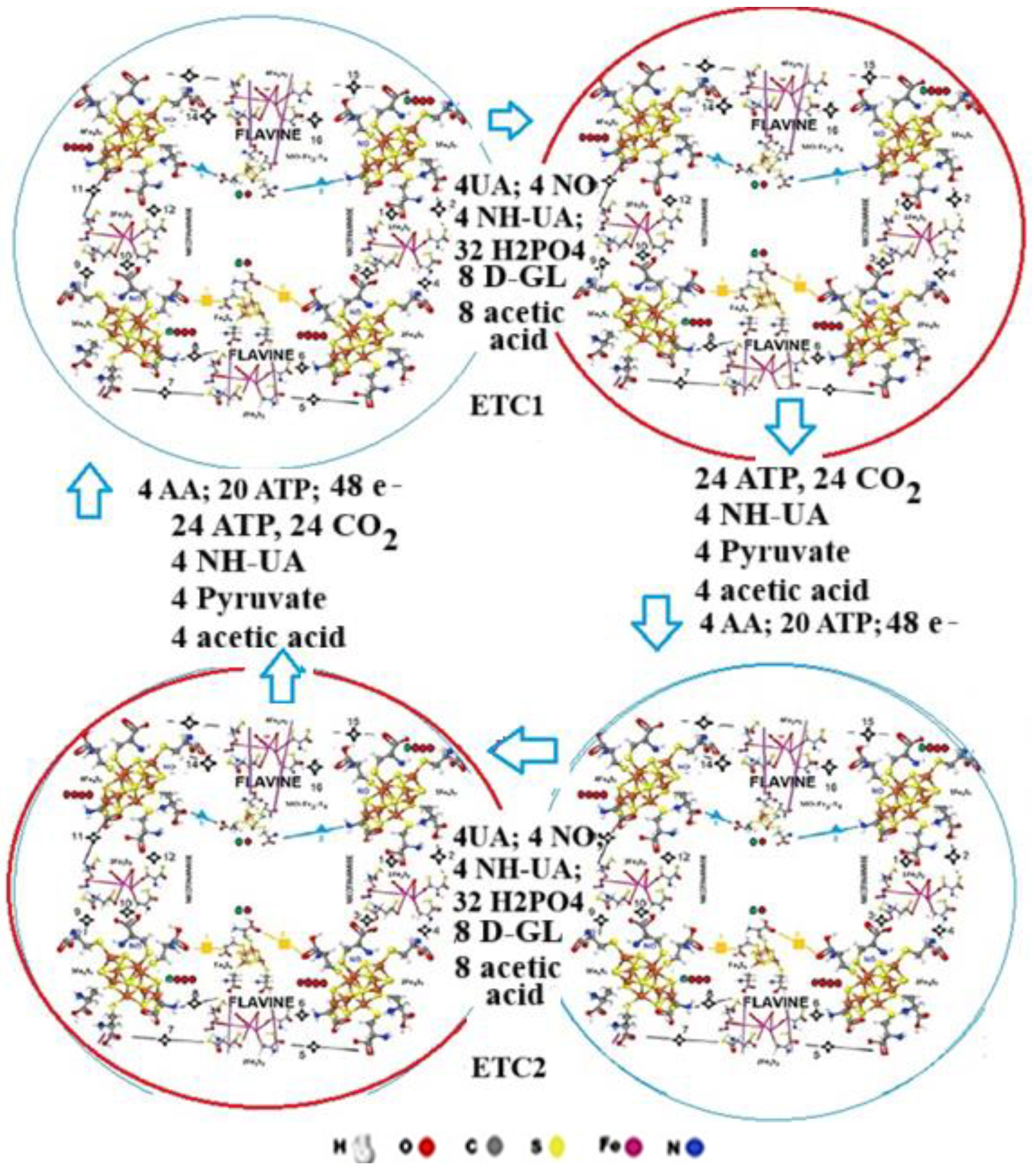 Preprints 161100 g008