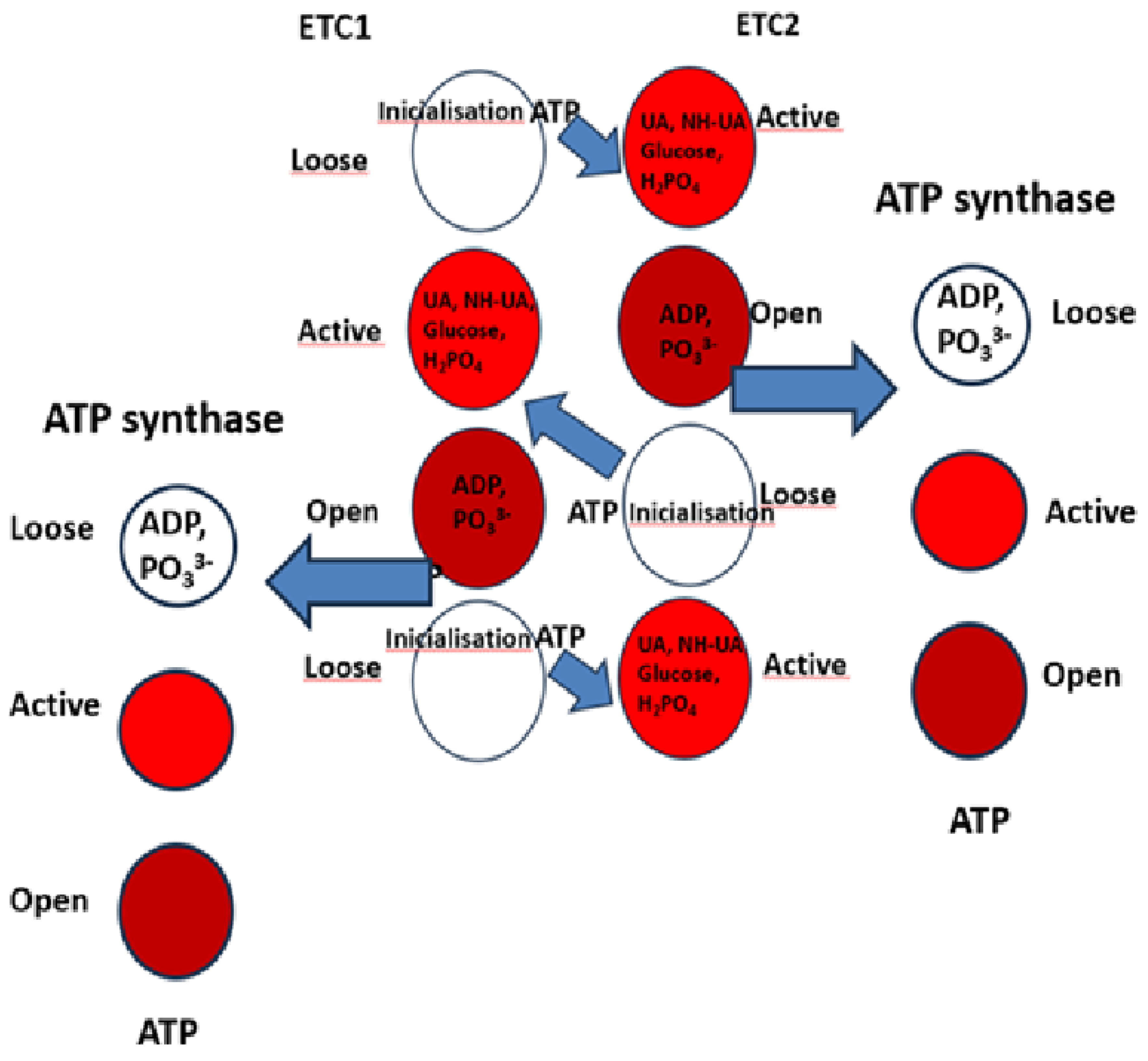 Preprints 161100 g009