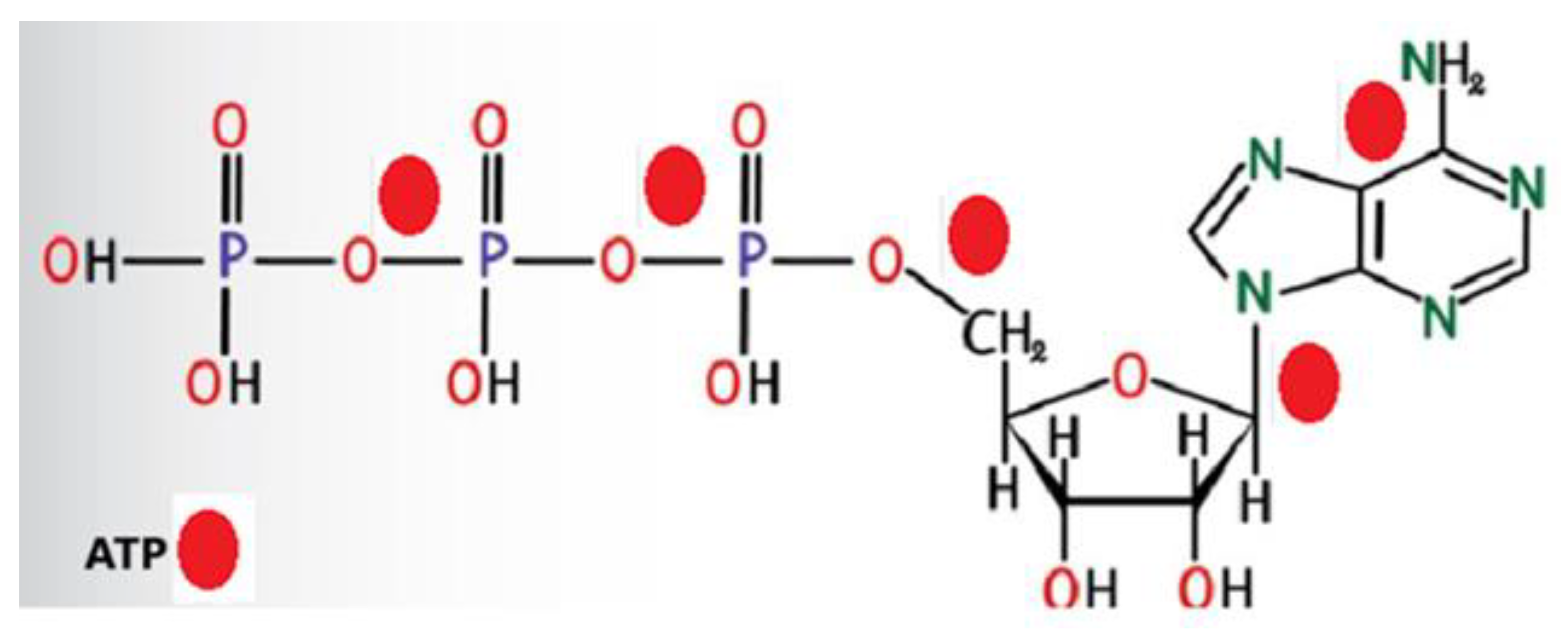 Preprints 161100 g010