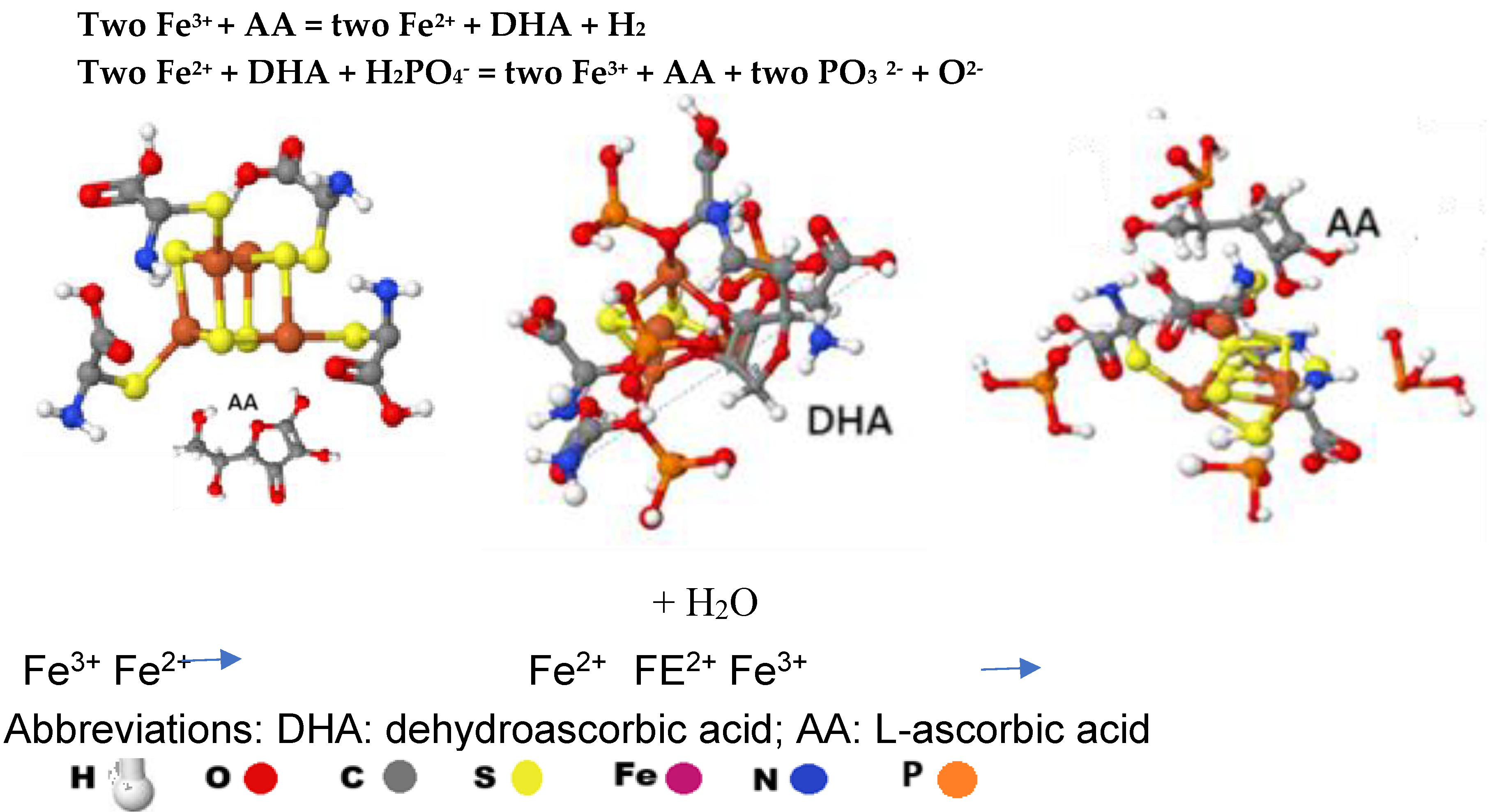 Preprints 161100 g012