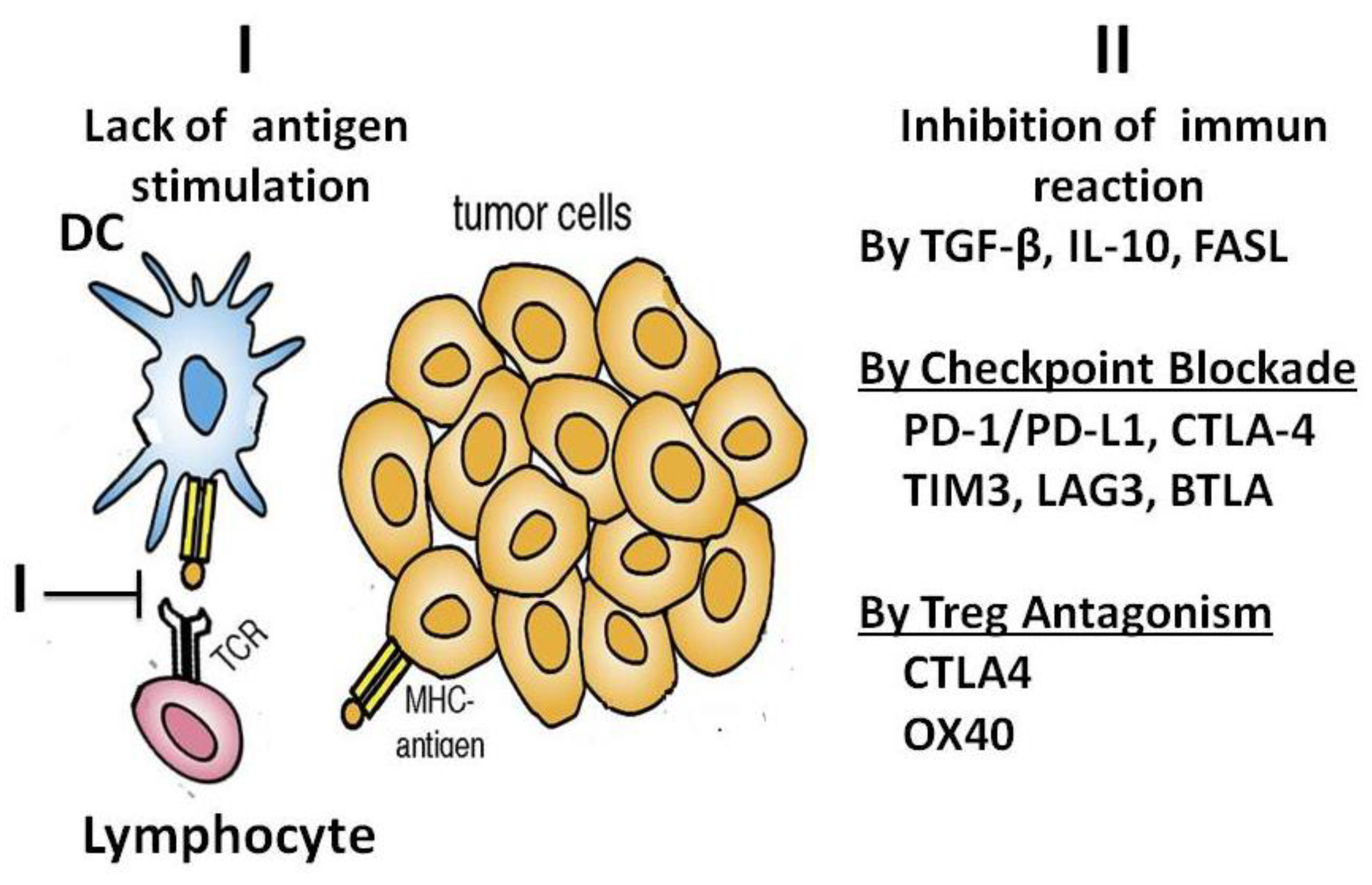 Preprints 161100 g014