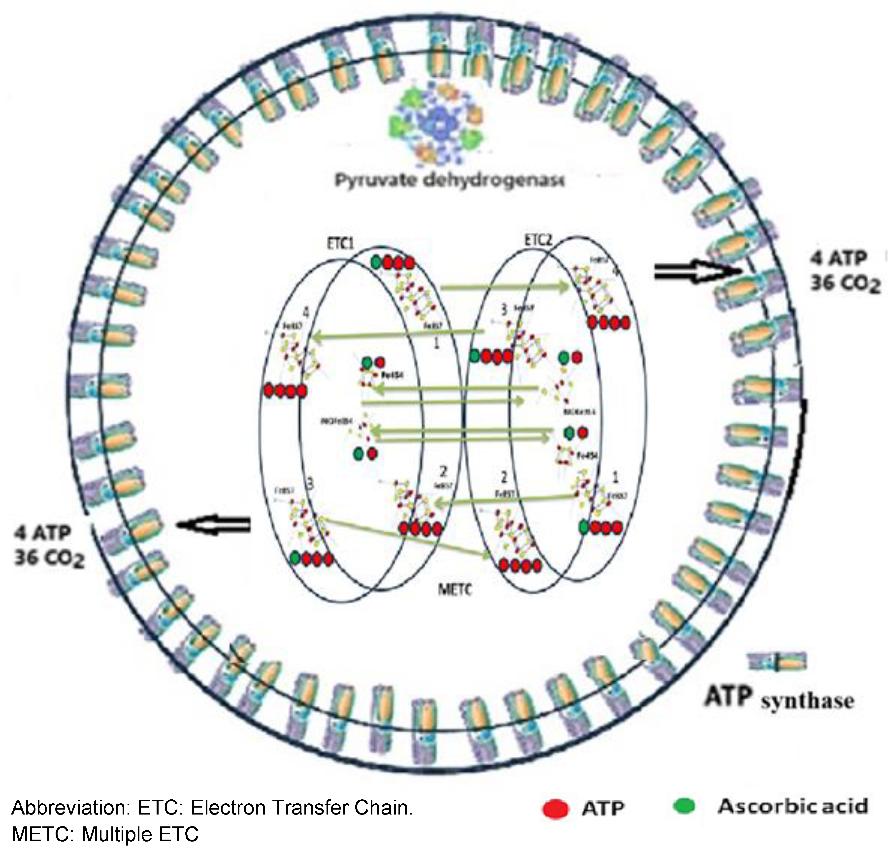 Preprints 161100 g015
