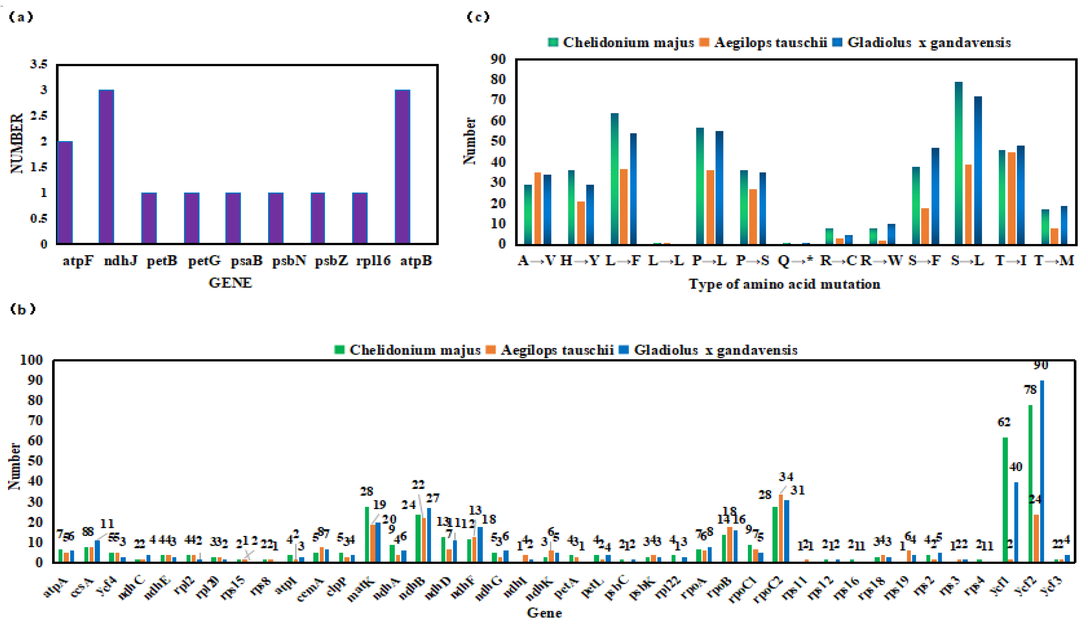 Preprints 162119 g002
