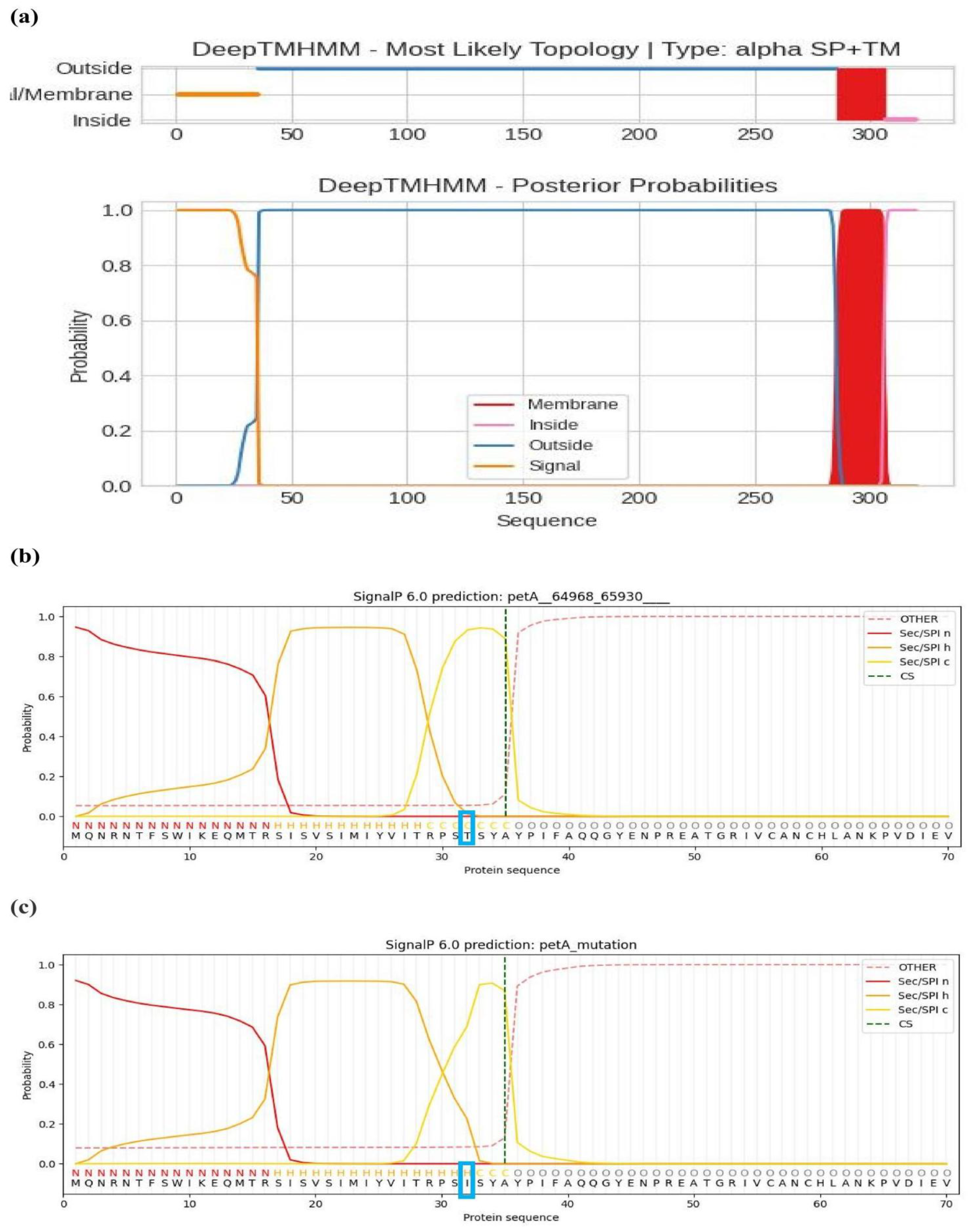 Preprints 162119 g005