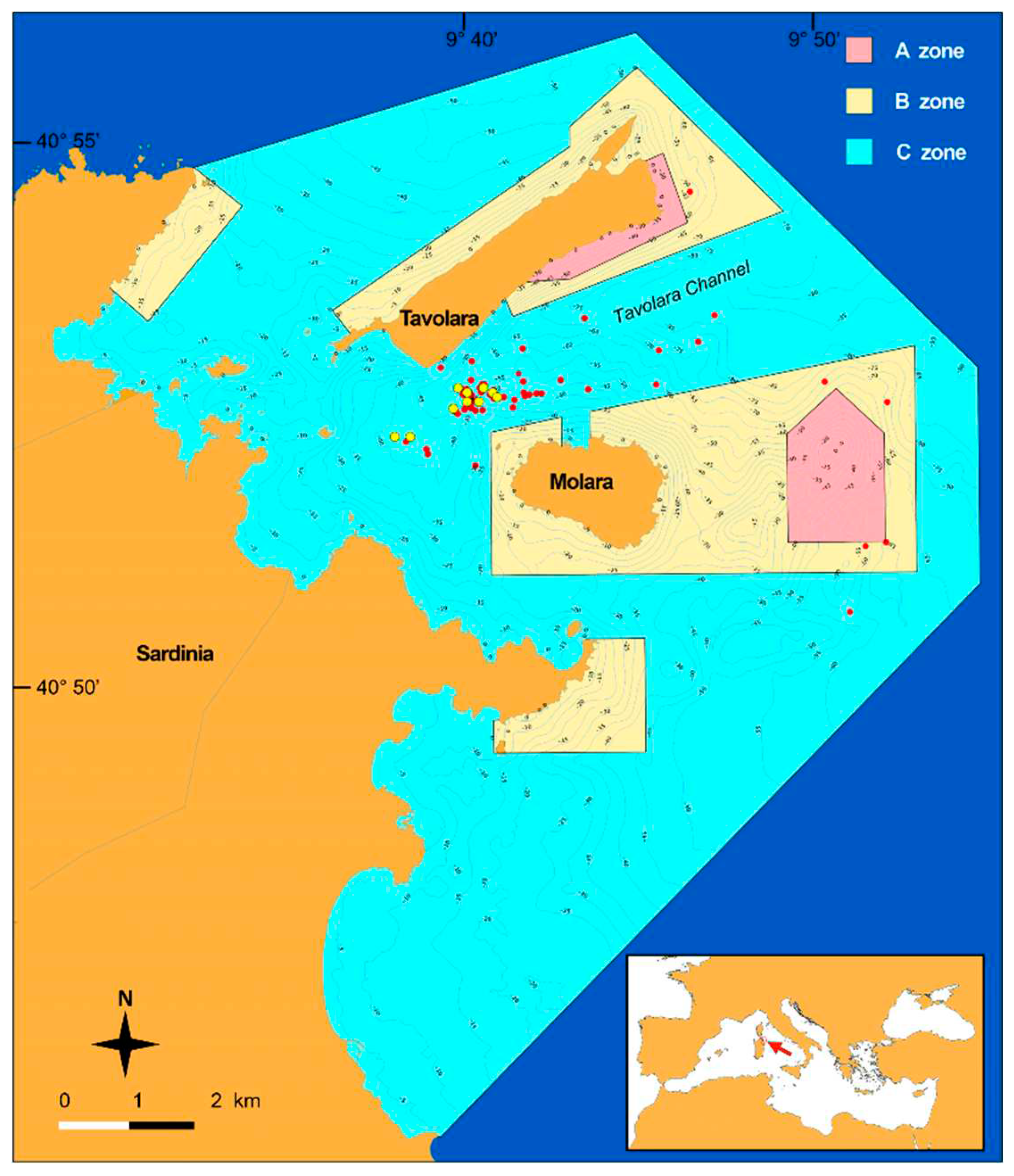 Preprints 77257 g001
