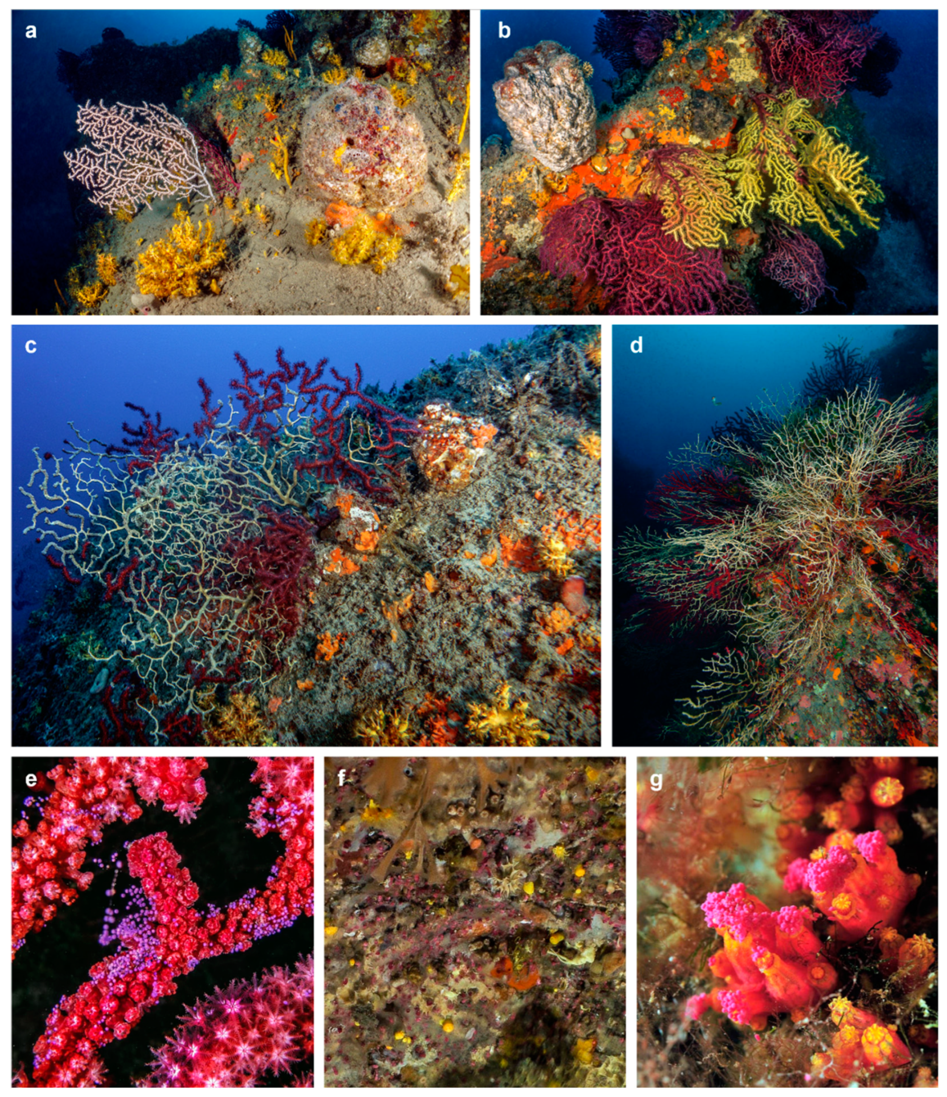 Preprints 77257 g002