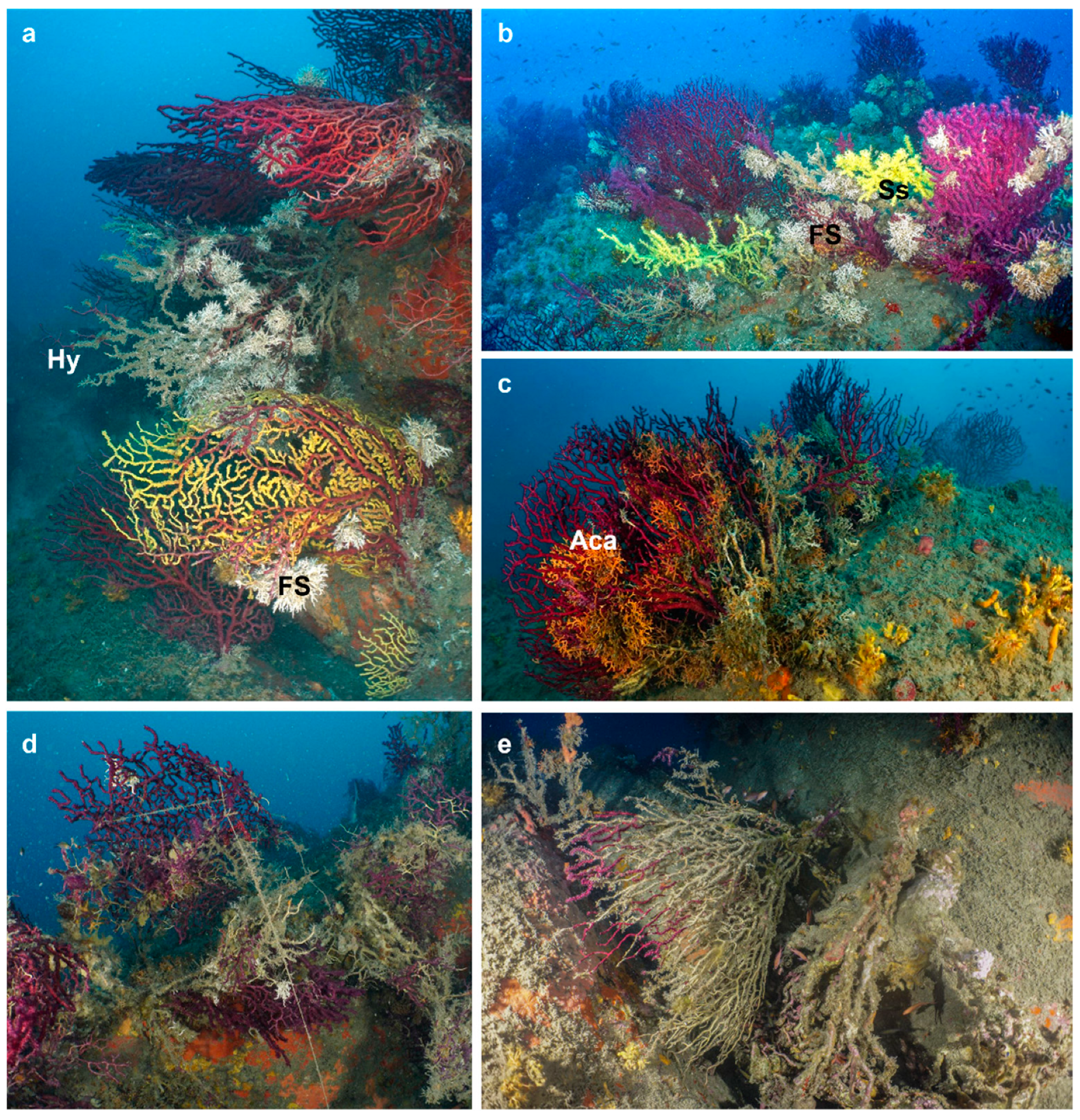 Preprints 77257 g003