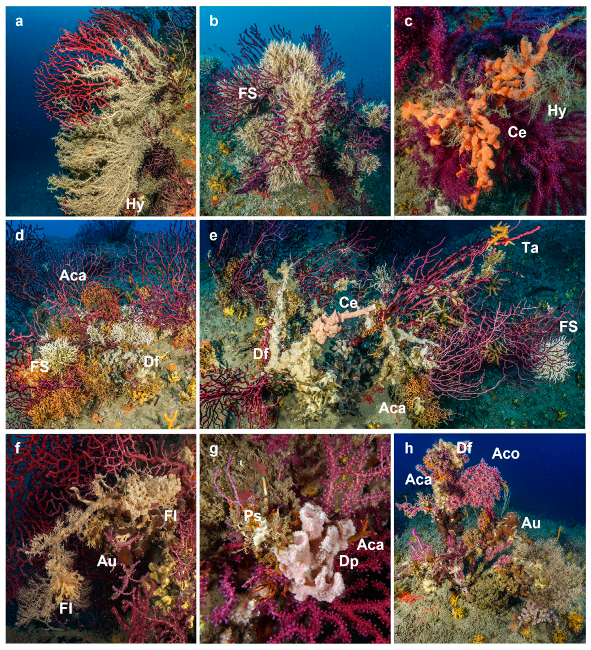 Preprints 77257 g005