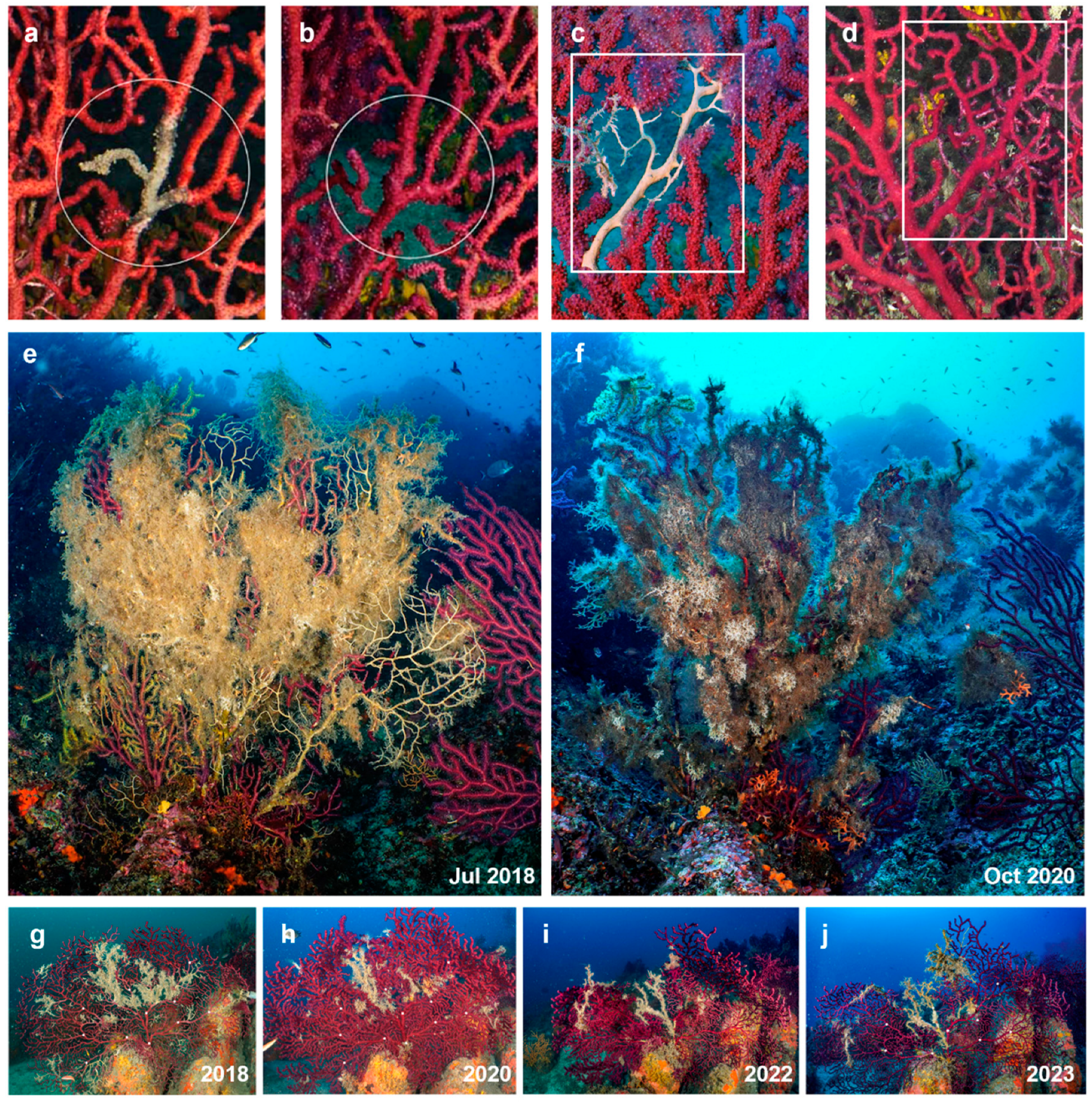 Preprints 77257 g008