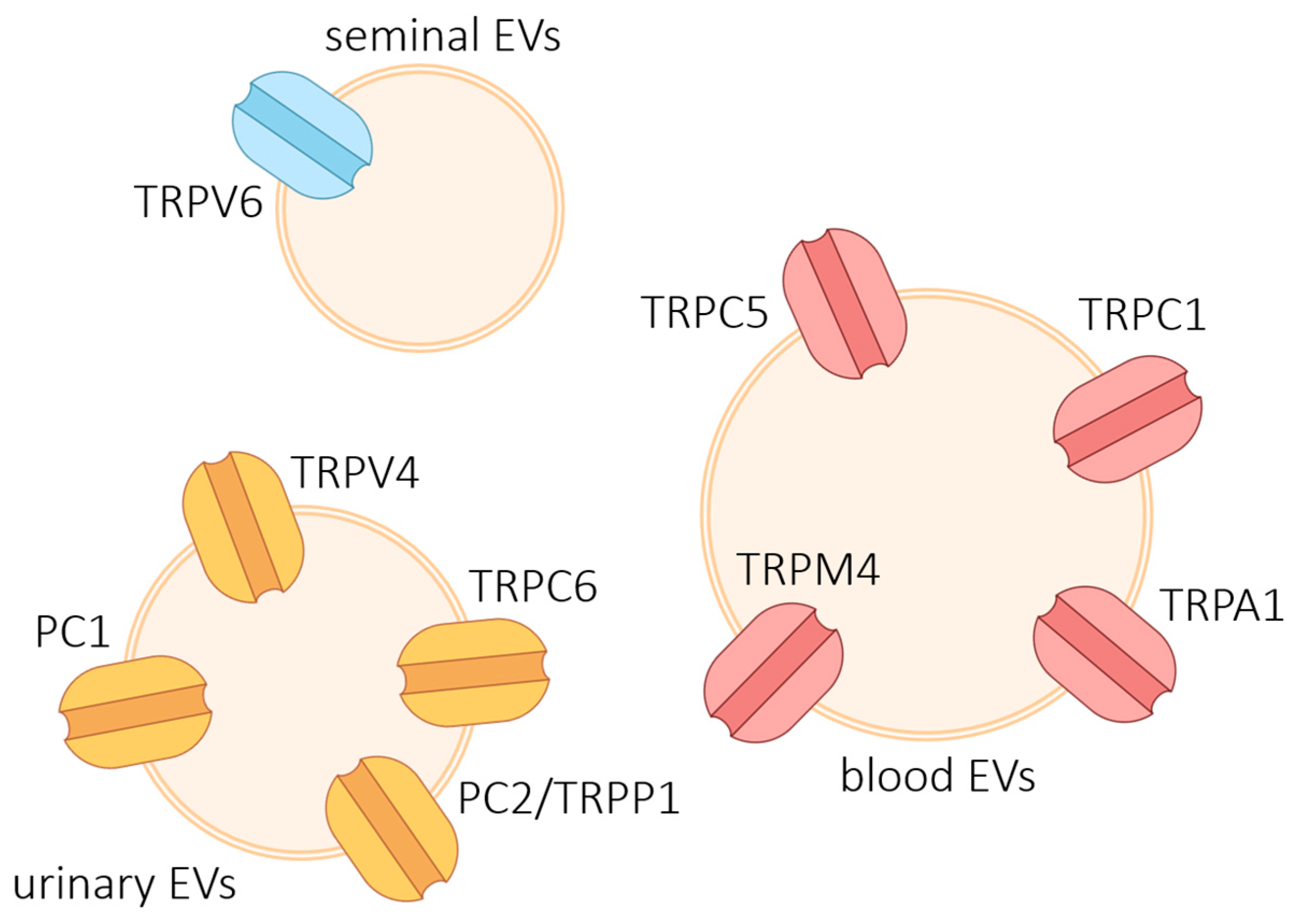 Preprints 233358 g005