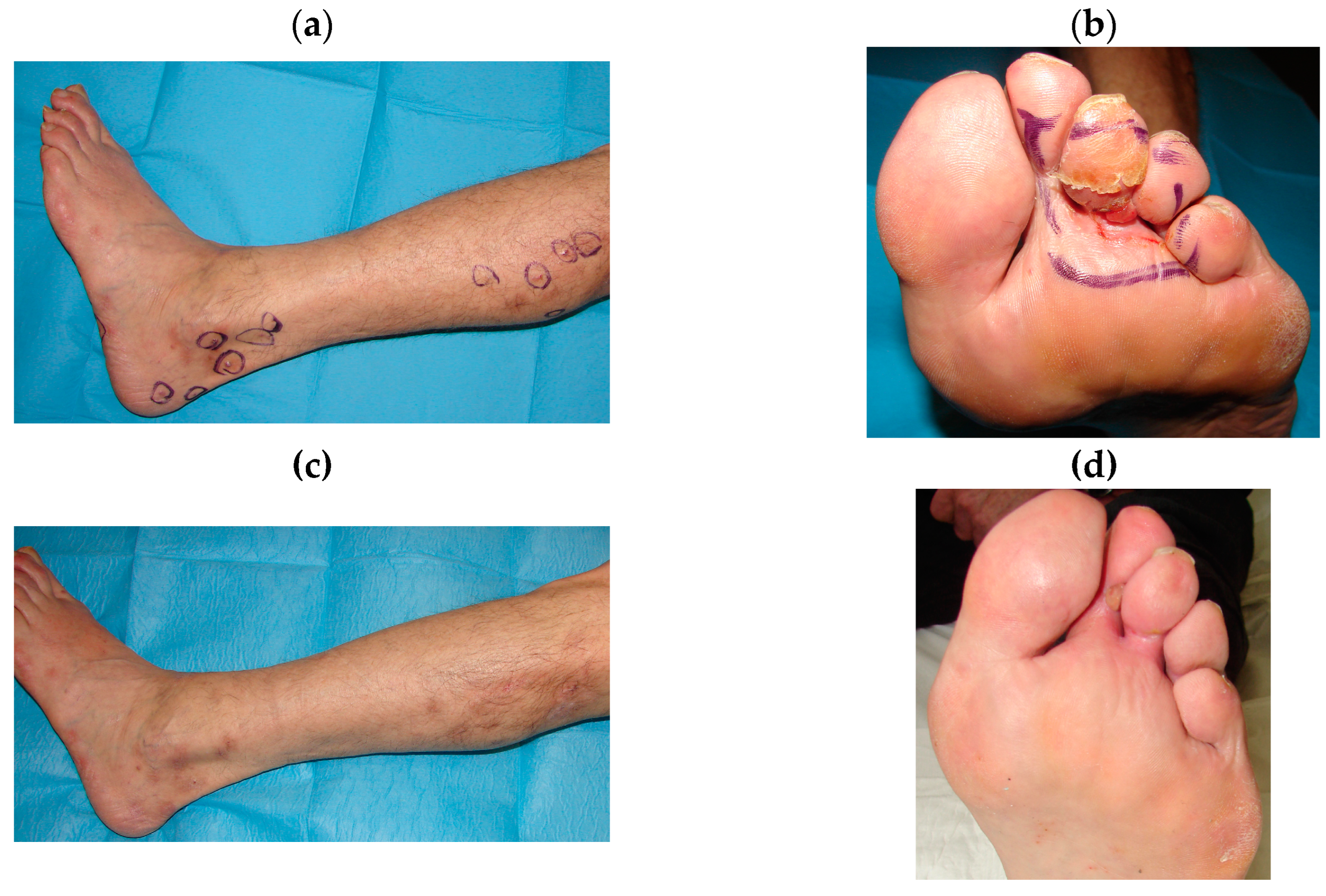 Preprints 97331 g004