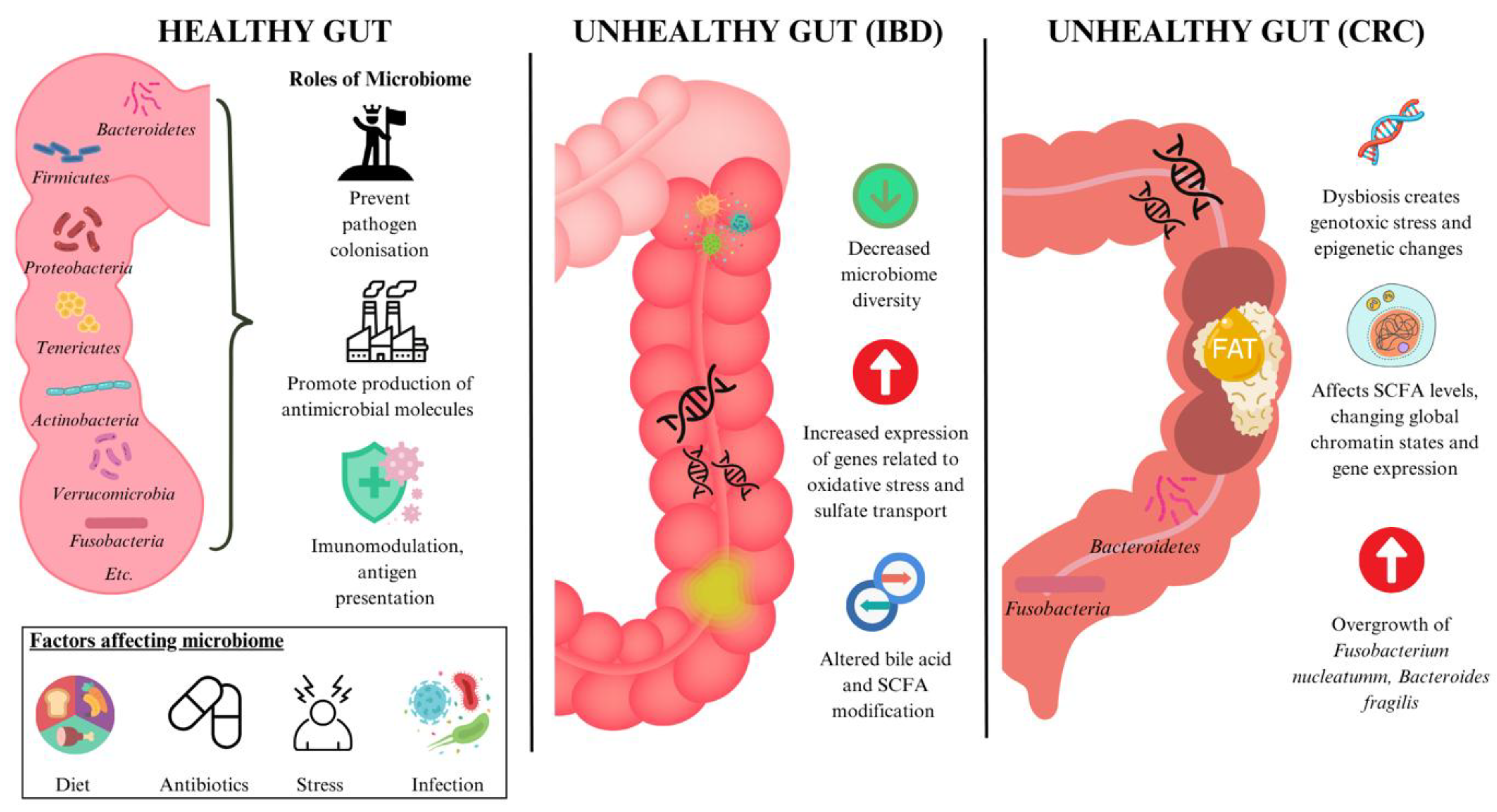 Preprints 162983 g001