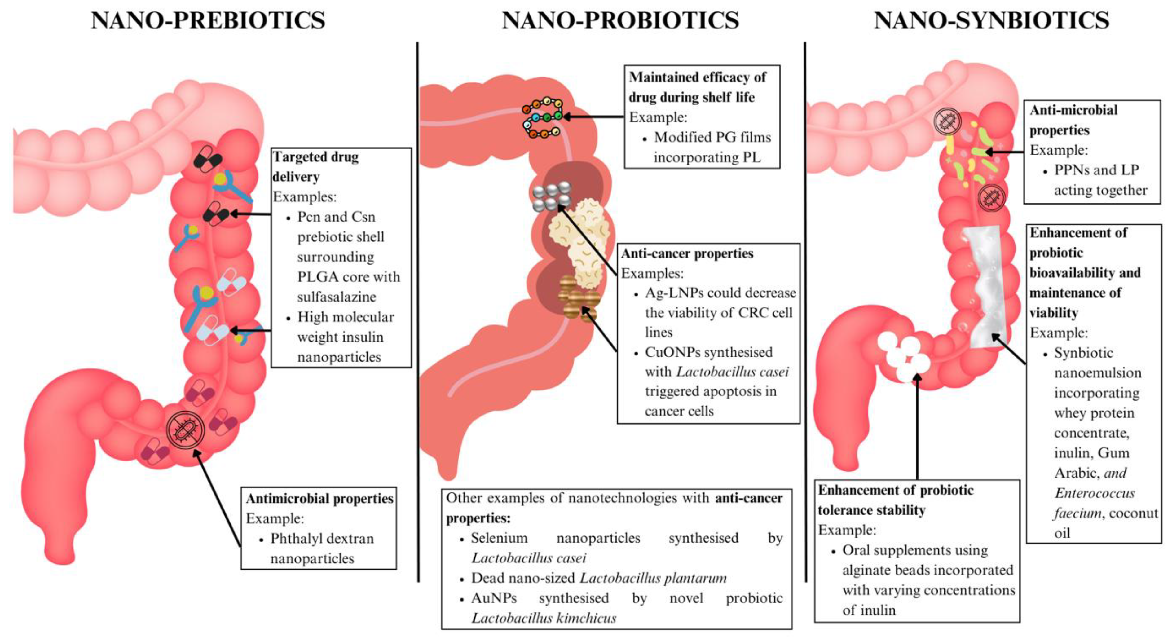 Preprints 162983 g005