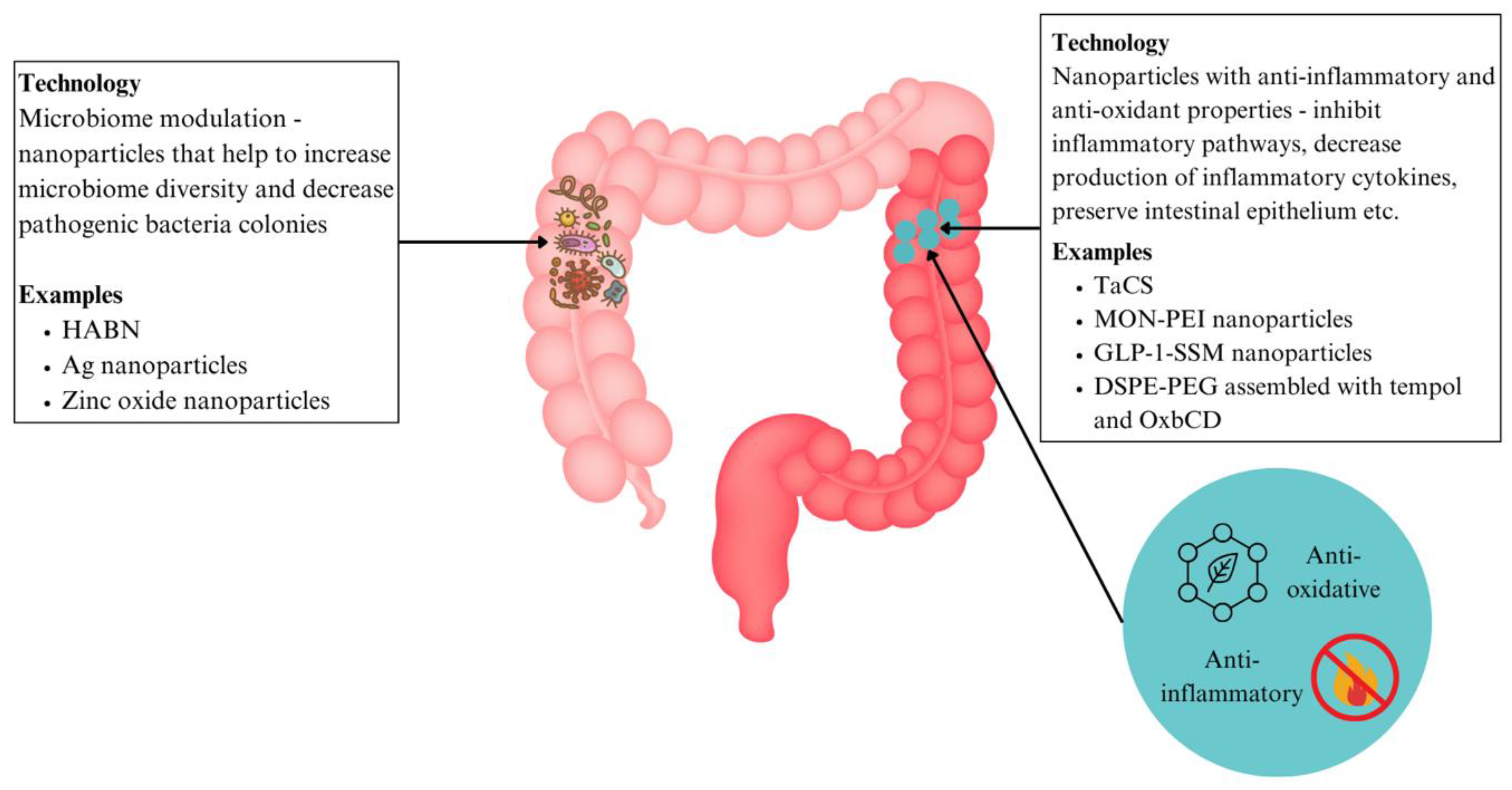 Preprints 162983 g006