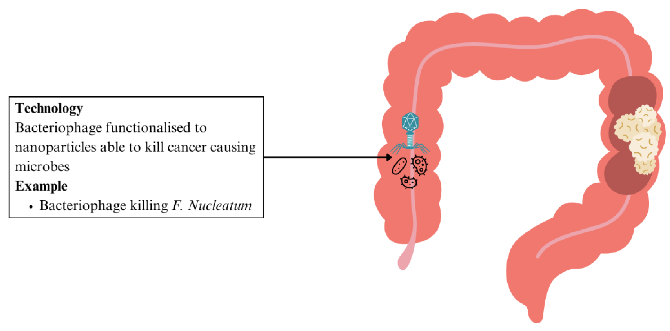 Preprints 162983 g007