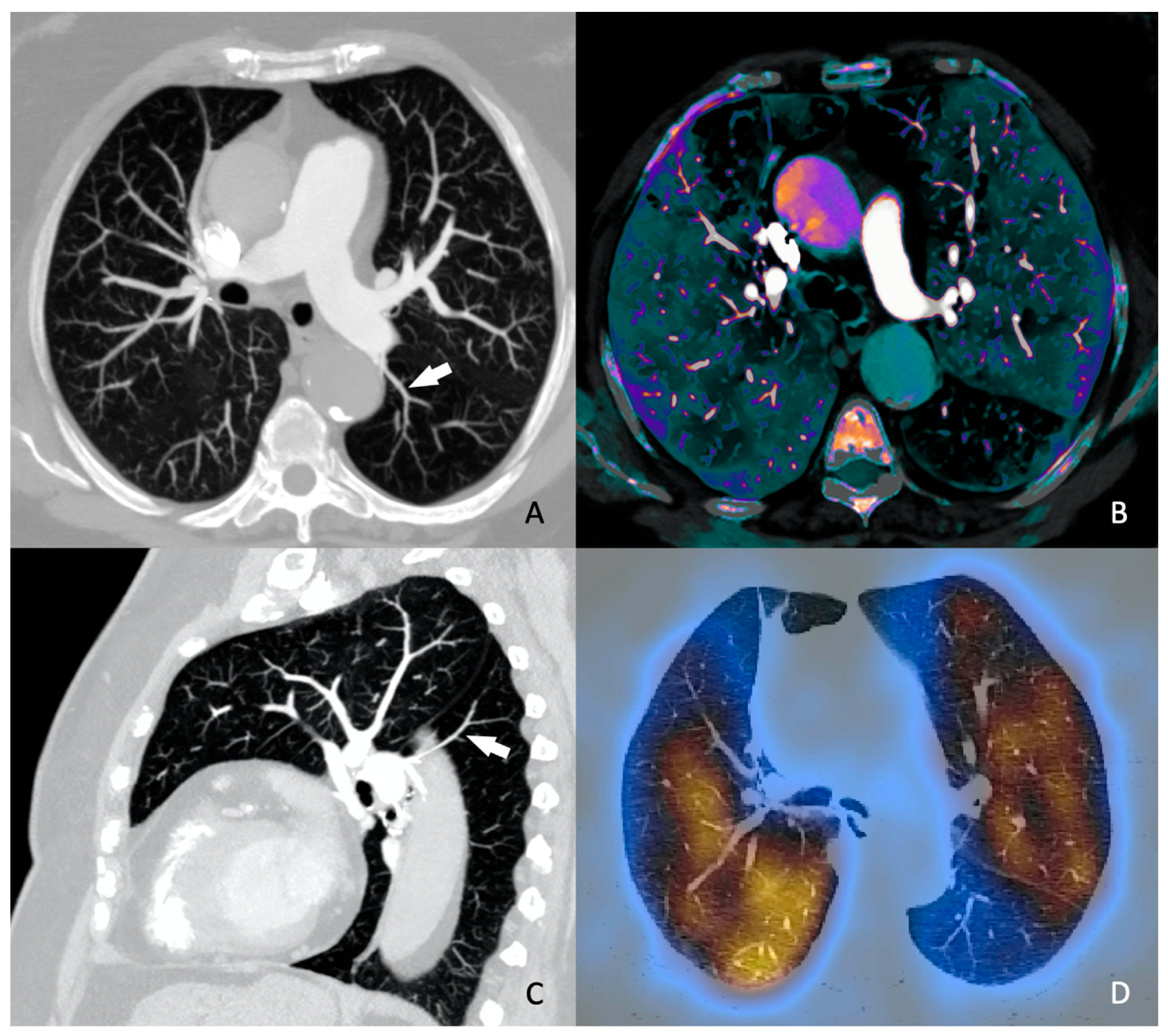Preprints 114011 g002