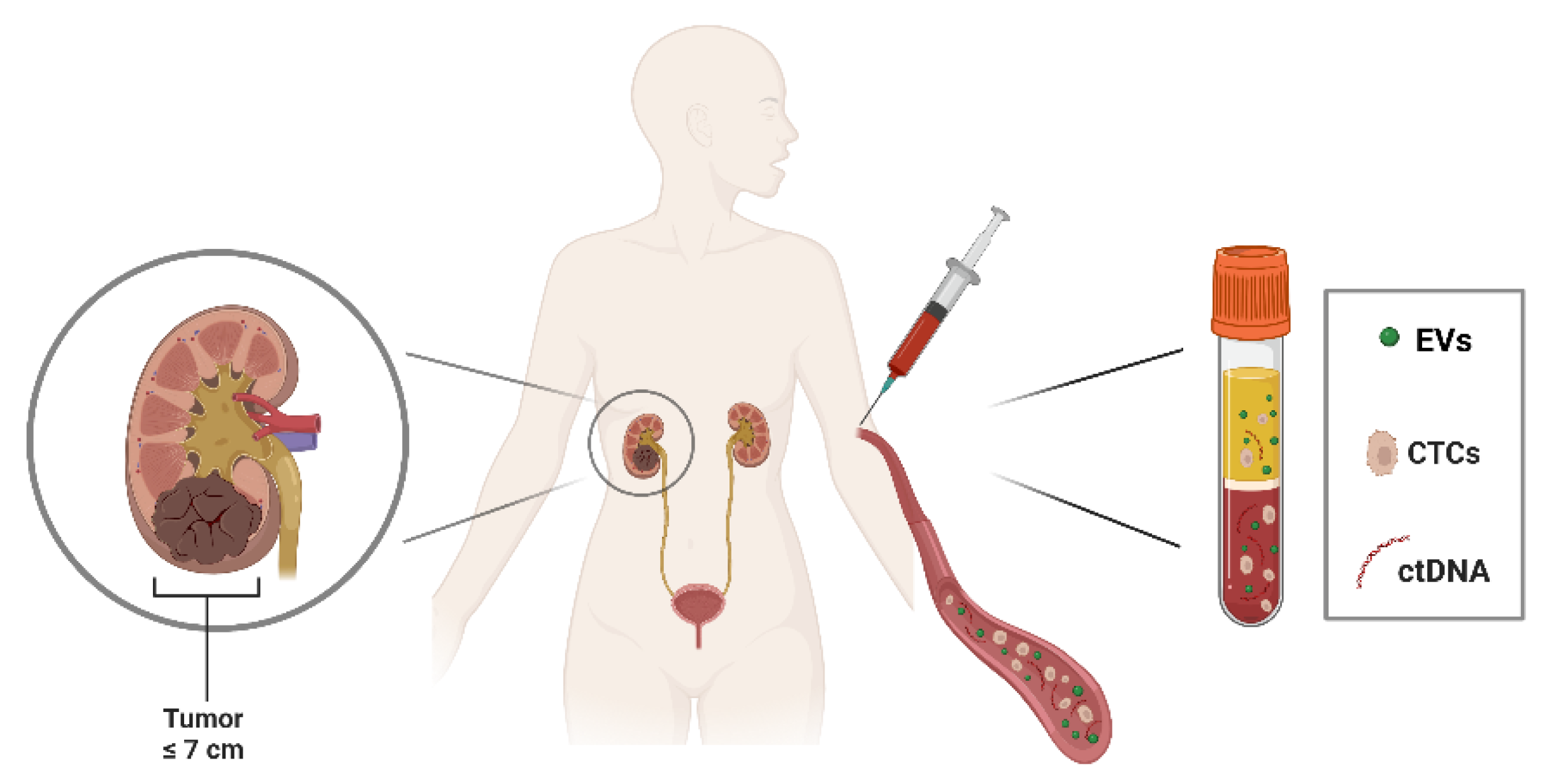 Preprints 72164 g001