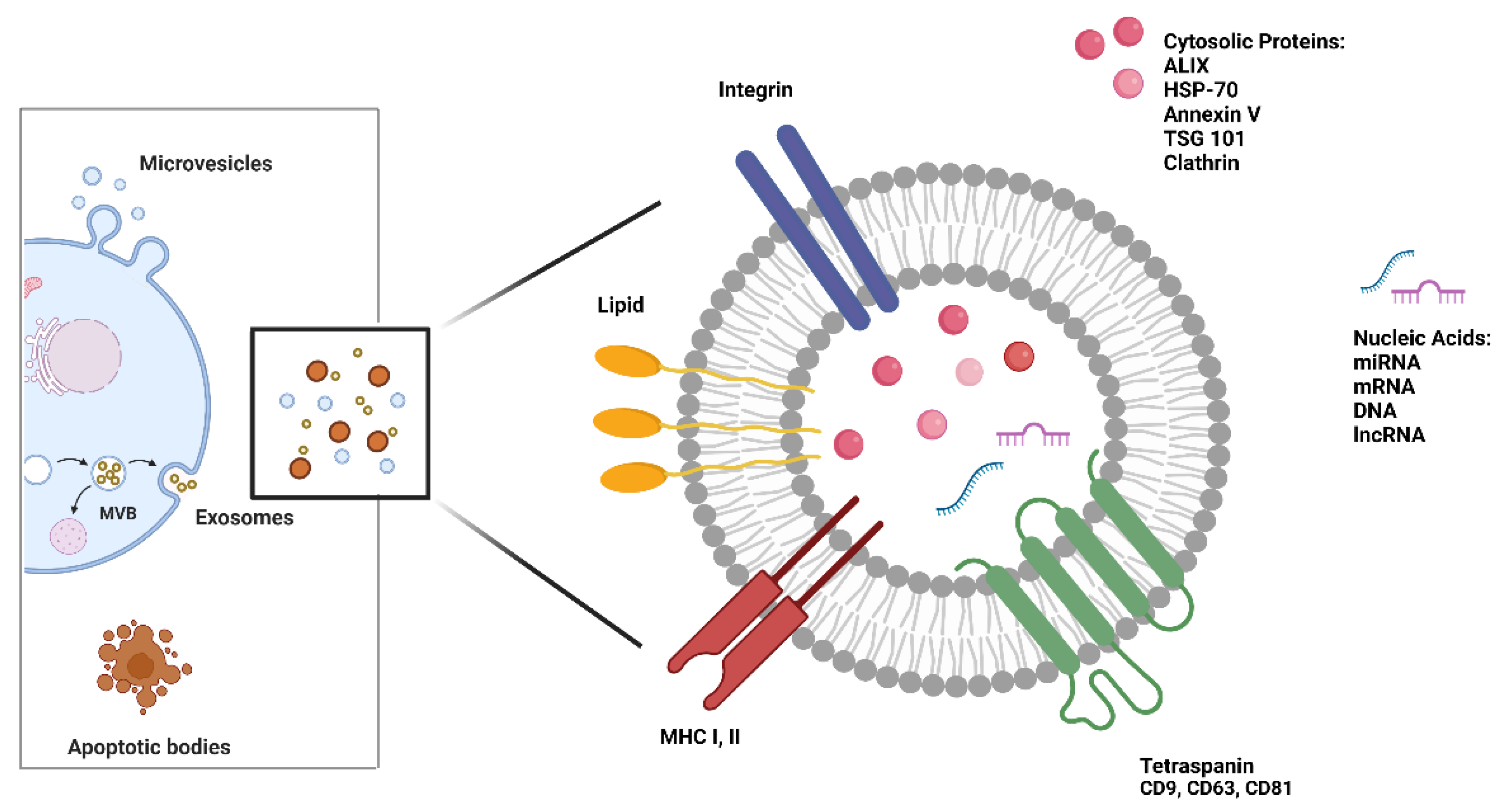 Preprints 72164 g002