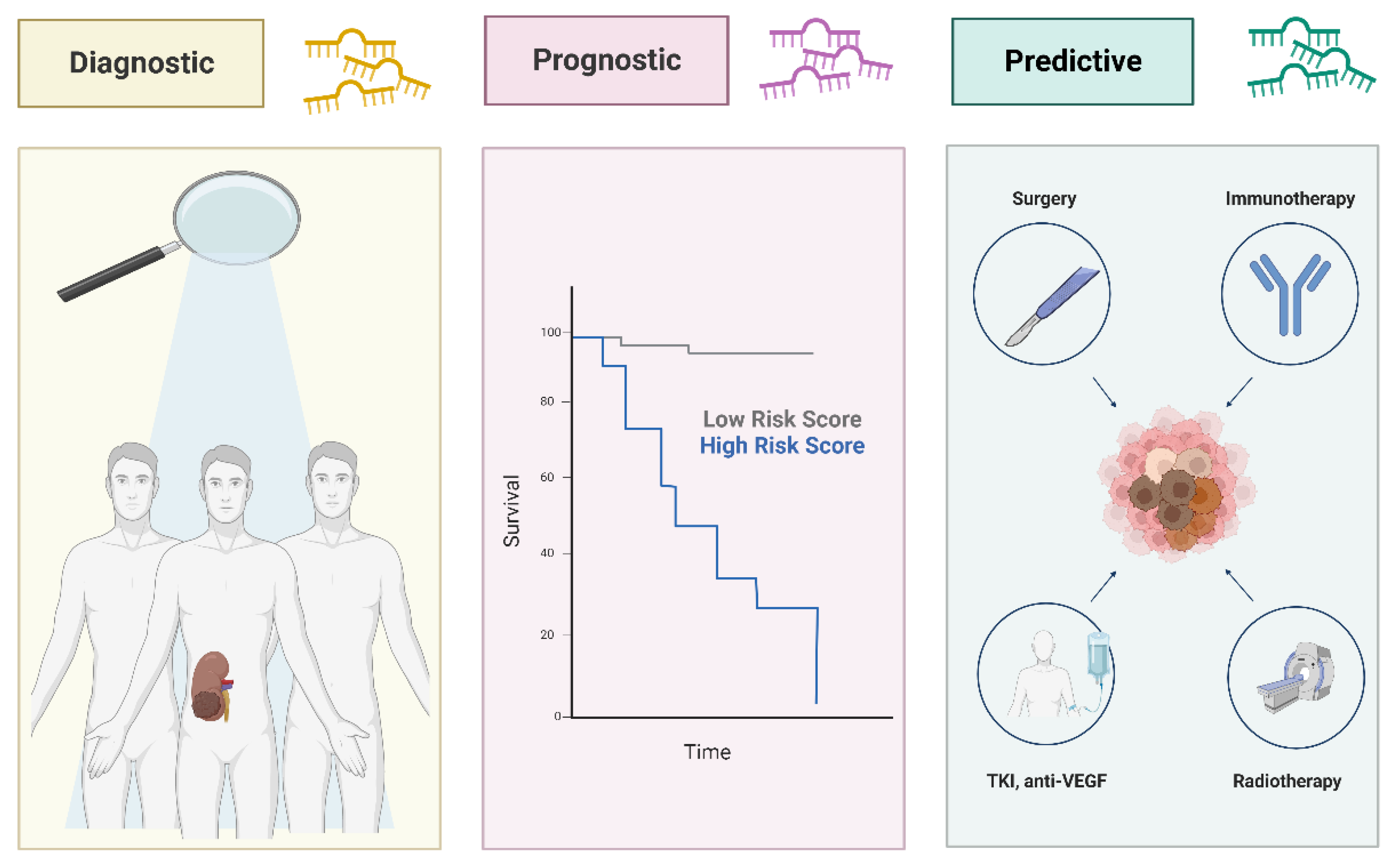 Preprints 72164 g003
