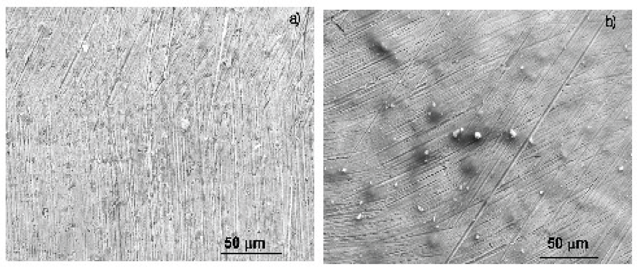 Preprints 161793 g007
