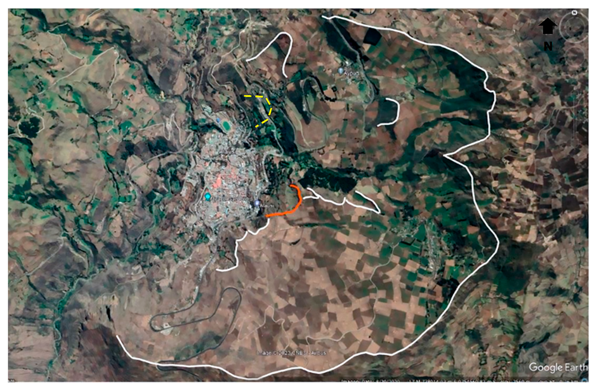 Preprints 157012 g003