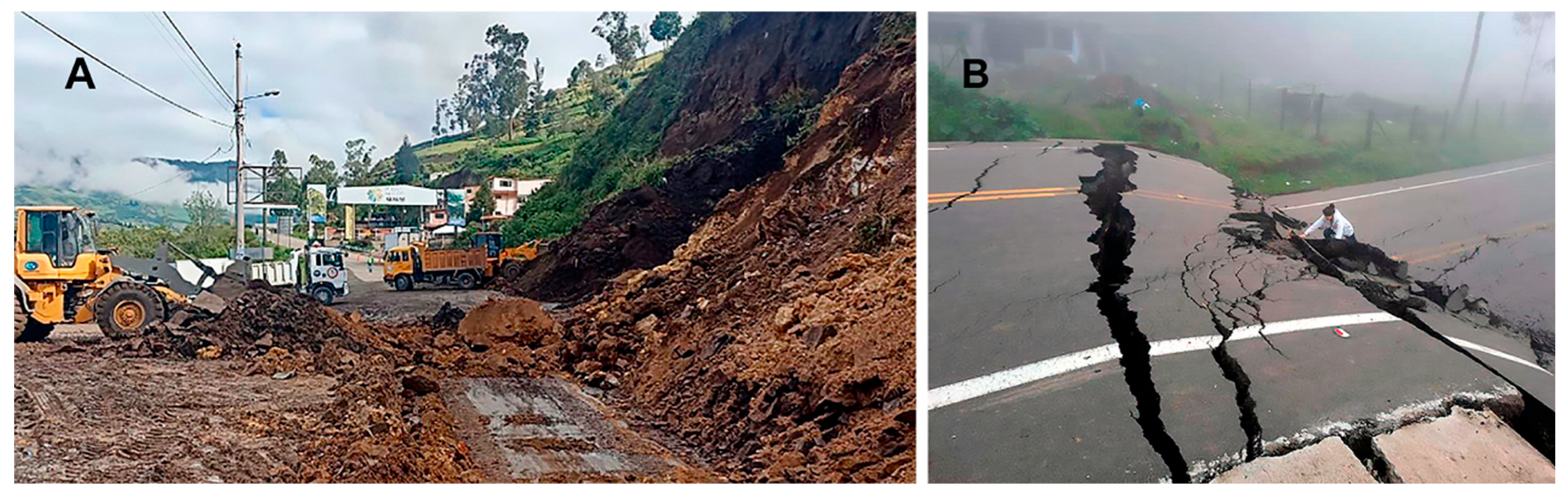 Preprints 157012 g008