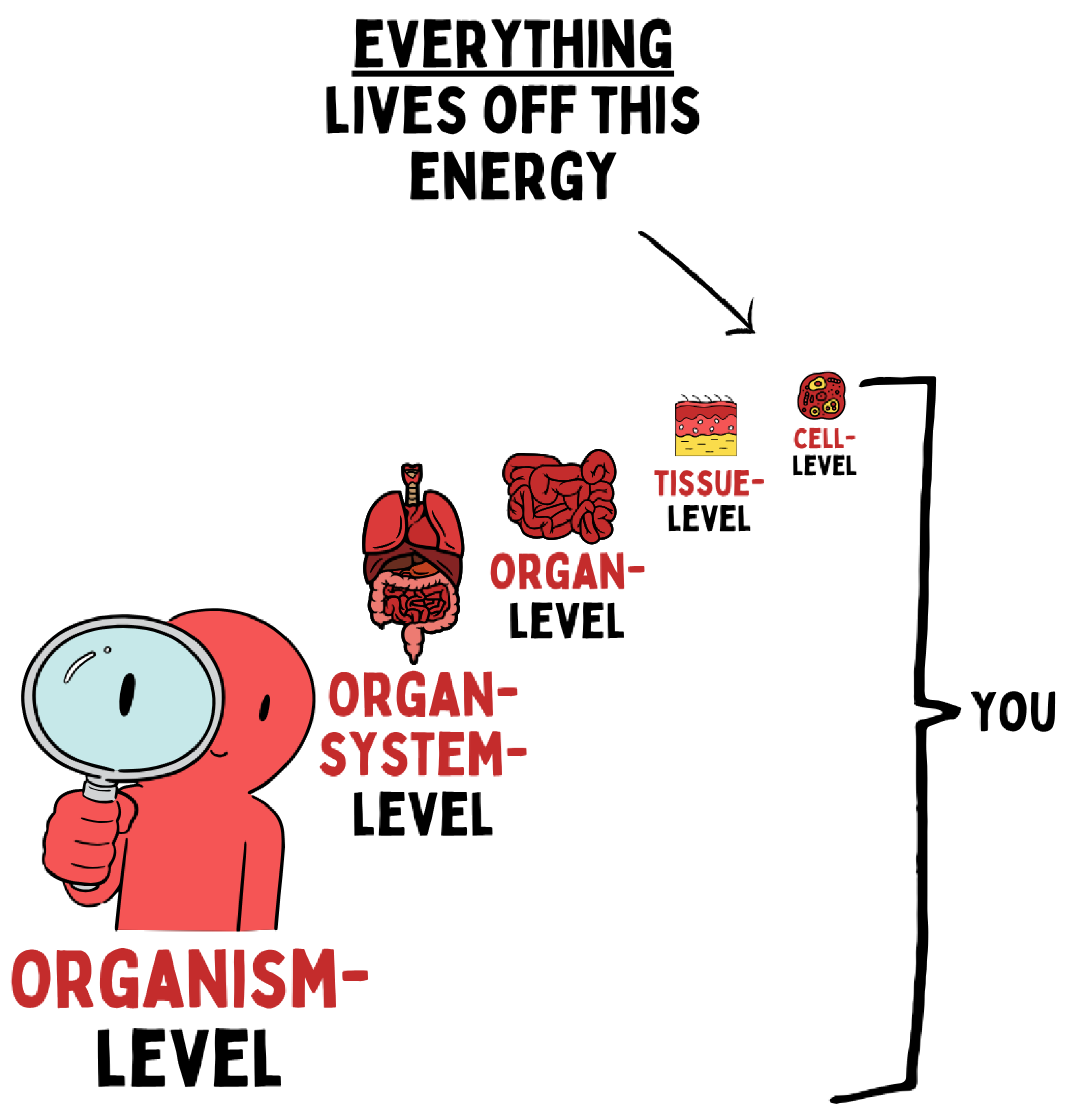 Preprints 180670 g006