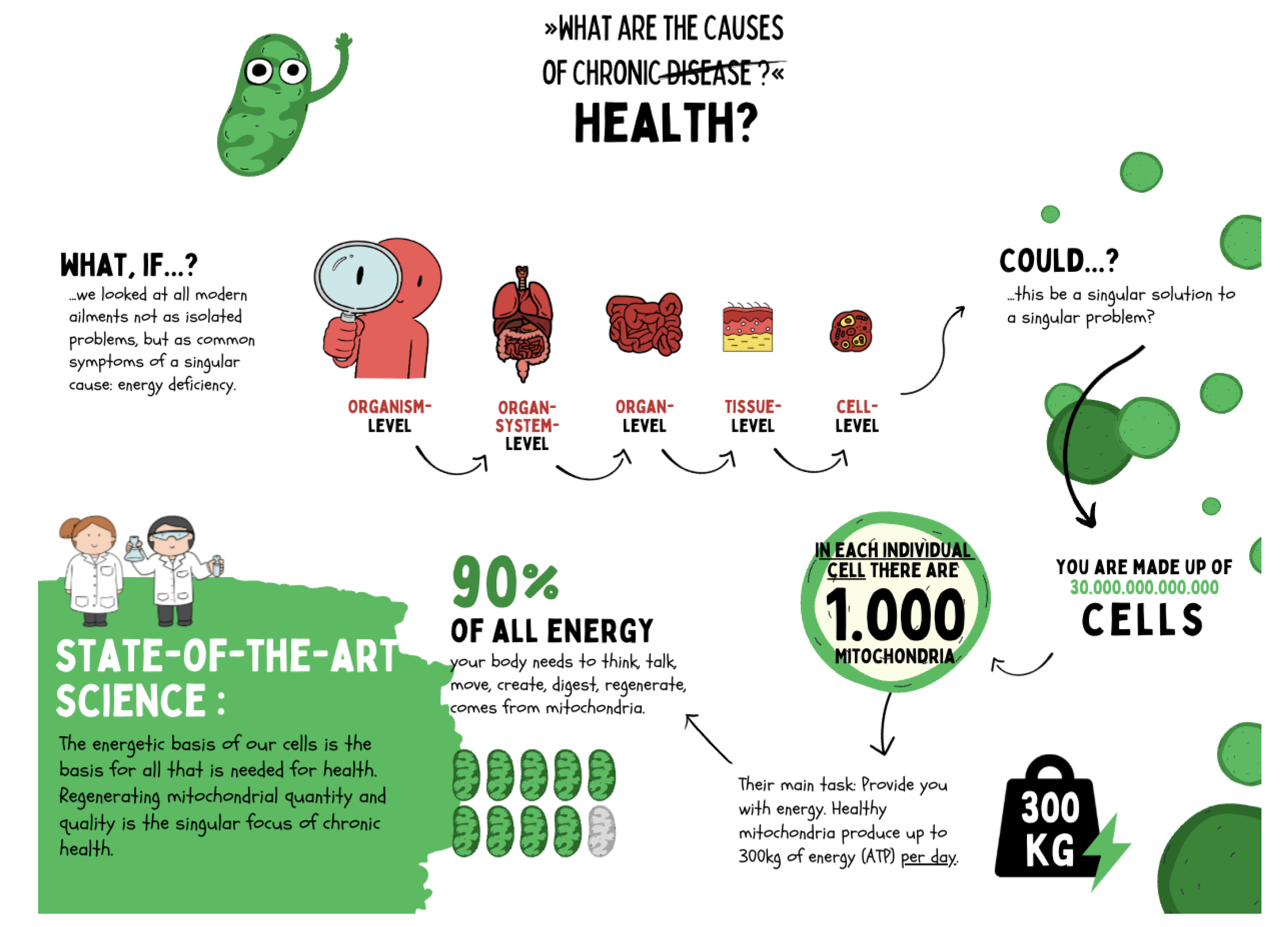 Preprints 180670 g008